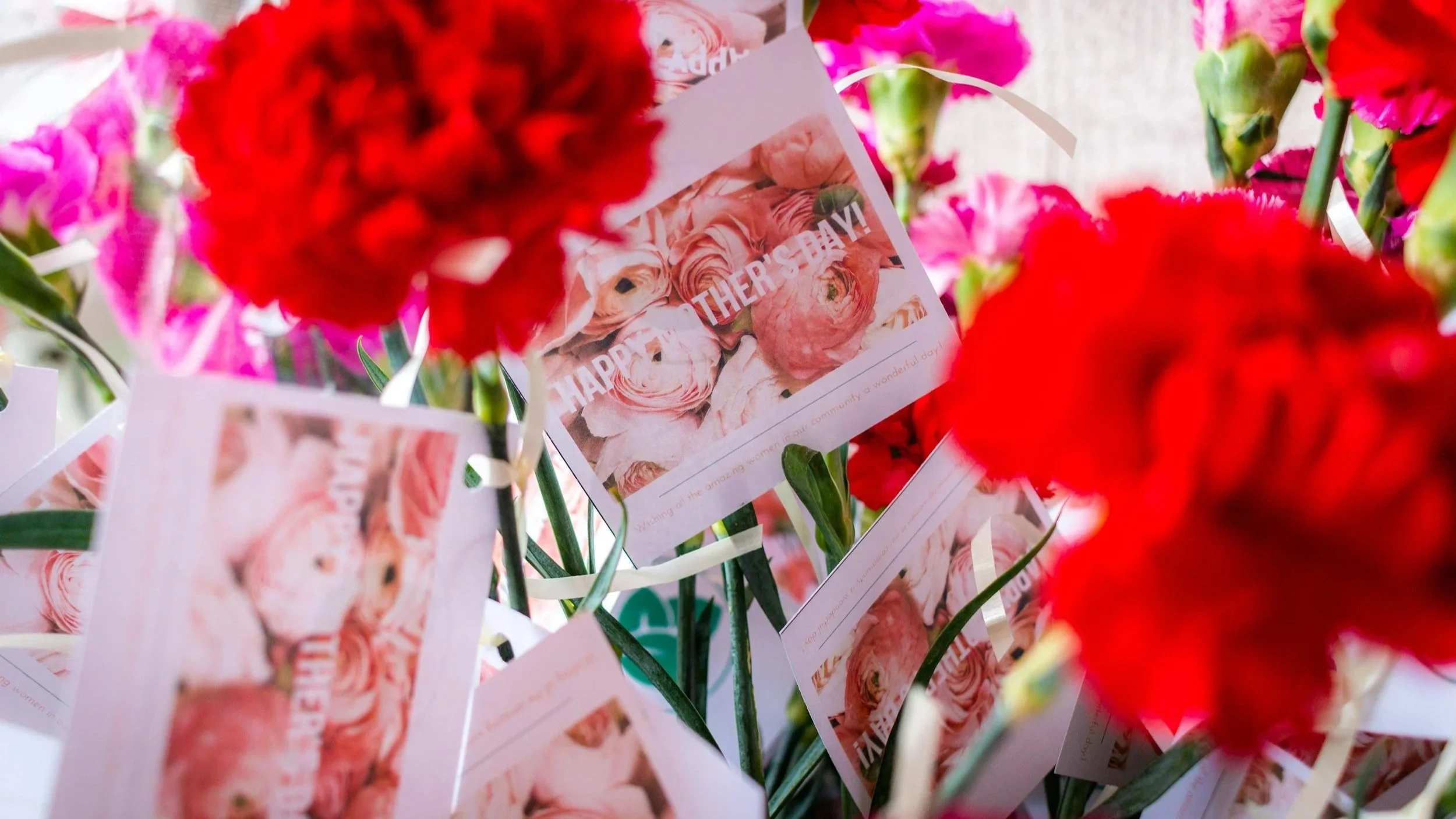 A Gentle Reminder This Mother’s Day