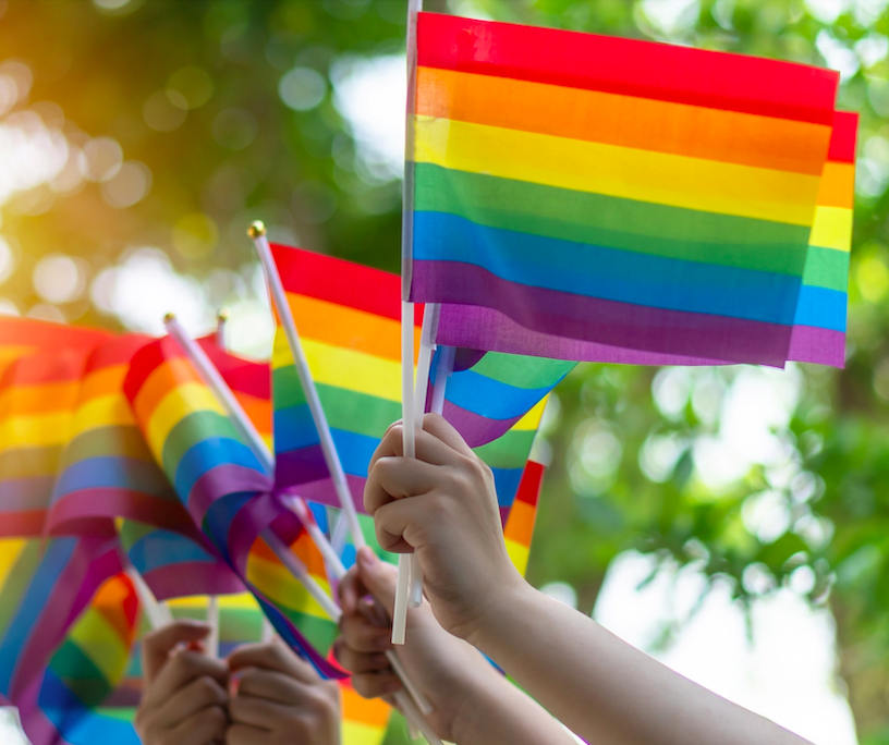 The Rainbows Have Arrived