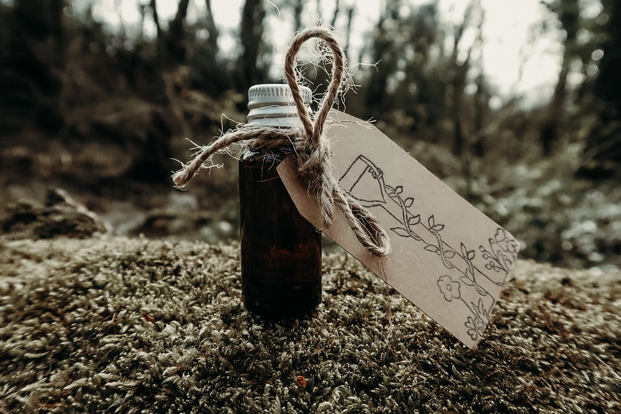 Grandad's Greenhouse