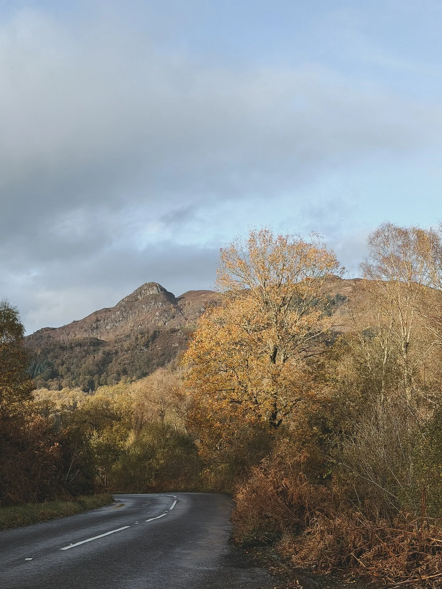 Whispers Between the Lochs 🌲

A beautifully blue-sky afternoon wandering the woodland paths between Loch Venachar and Loch Achray. 🍂 We spotted mushrooms nestled in mossy corners, gave the great old oaks a grateful squeeze, and breathed in all that