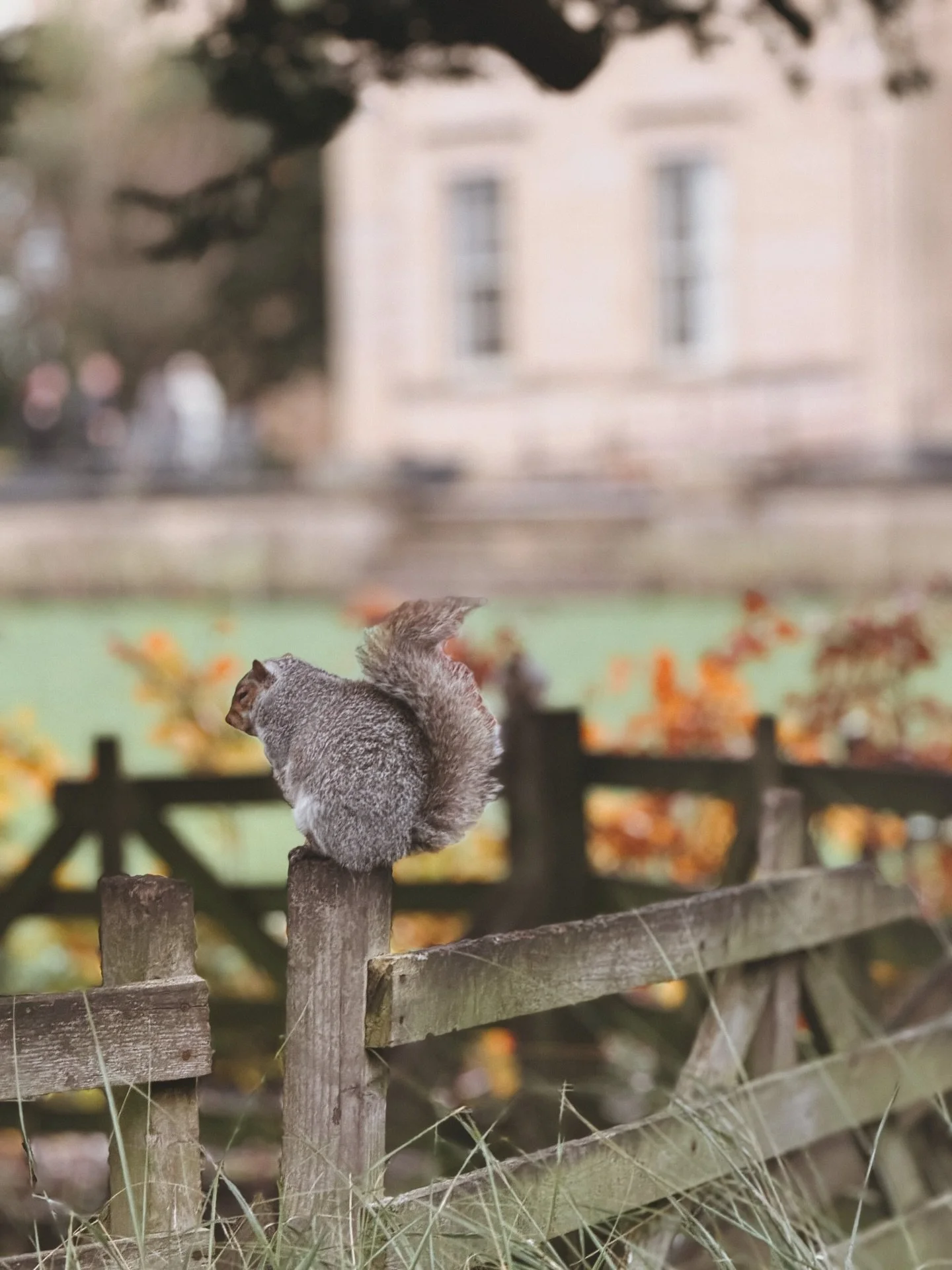 November, you are magic 🍁✨ 

Amongst the beautiful chaos that is life, there are glimmers everywhere.

#ohsoblessed #grateful