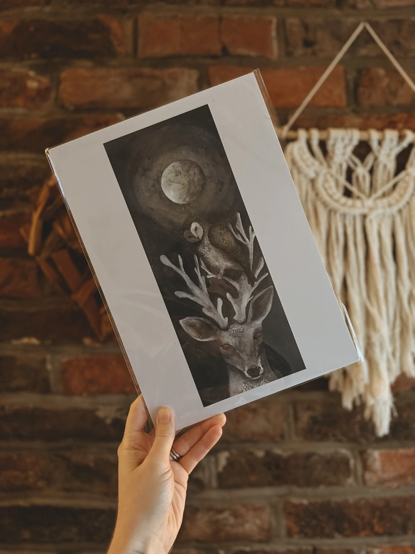 🌙 When the Wild Whispers Back 🦉

Lately, the signs from nature have been unyielding &mdash; the kind you don&rsquo;t chase, because they find you (despite me being in hibernation mode)&hellip;

Owl energy. Moon energy. Returning again and again wit