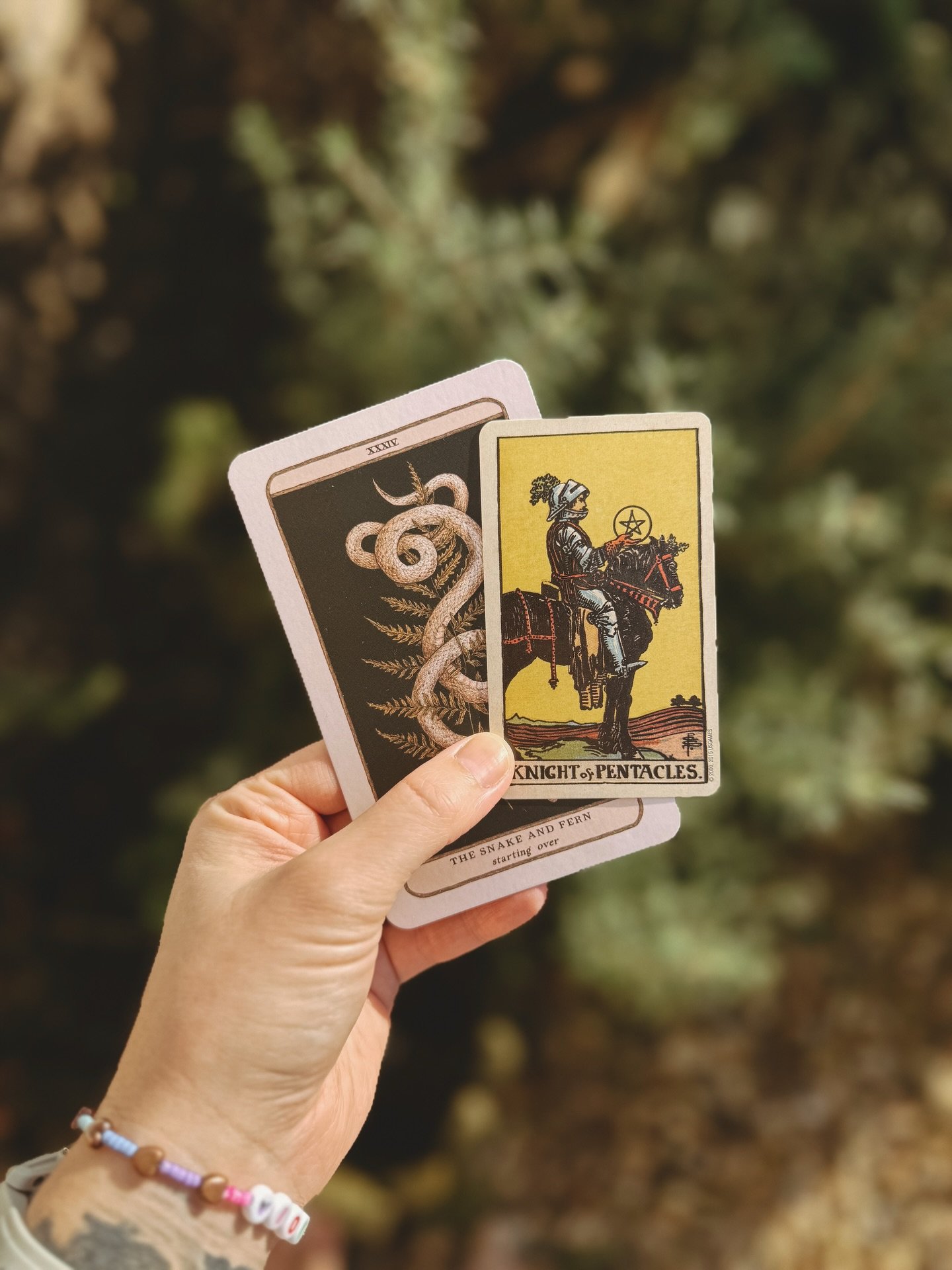 A beautiful reading for March from @thrivethroughtarot followed by catching 12:34 on the first of the month felt pretty hopeful and aligned.
🌞🌱