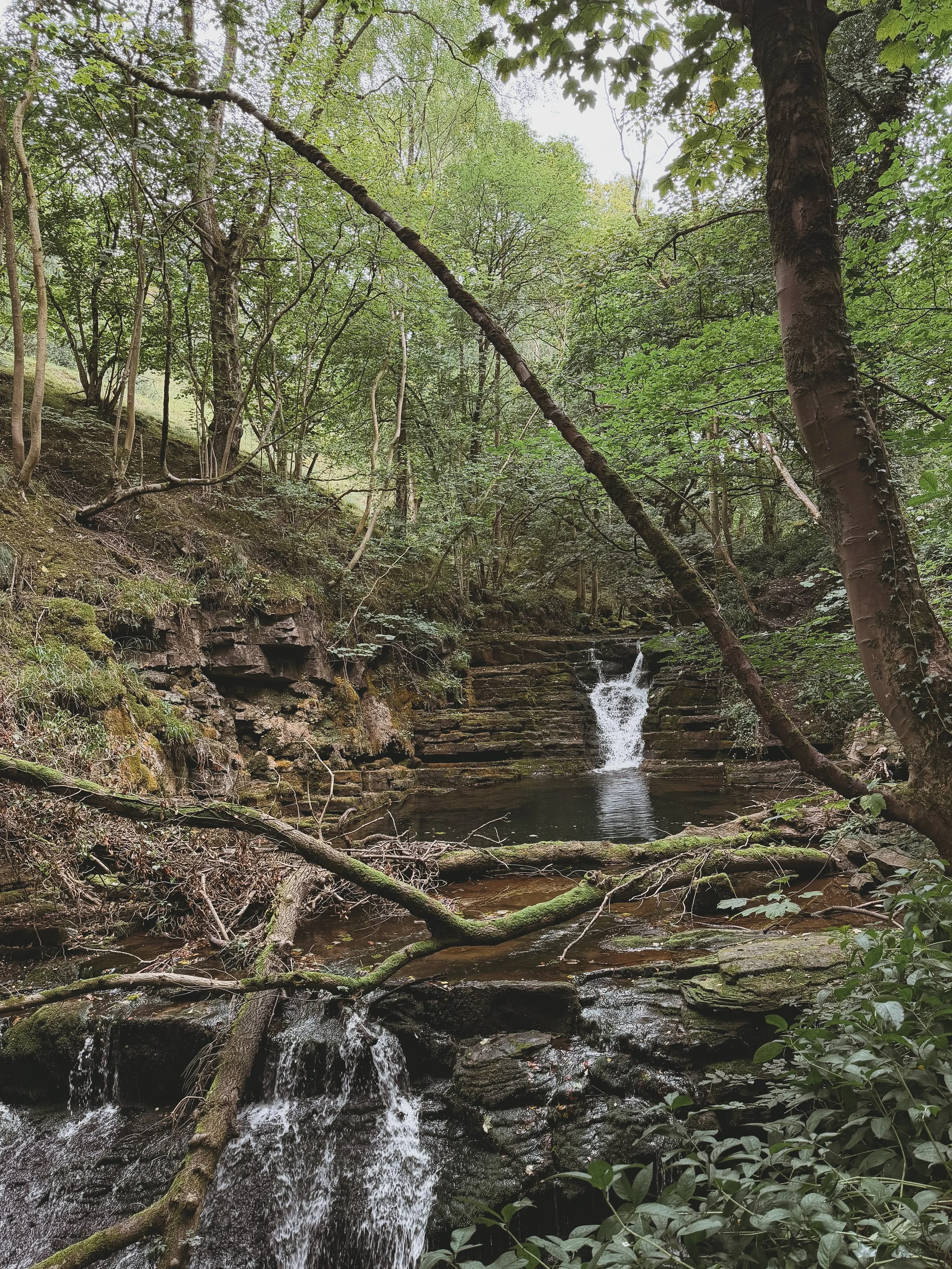 We officially moved! 🏡🌿

I can&rsquo;t quite believe I&rsquo;m finally able to say those words&hellip; we&rsquo;ve moved to the North Pennines. ⛰️🤍

What a whirlwind these past three weeks have been. Somehow, I&rsquo;ve barely had a chance to catc