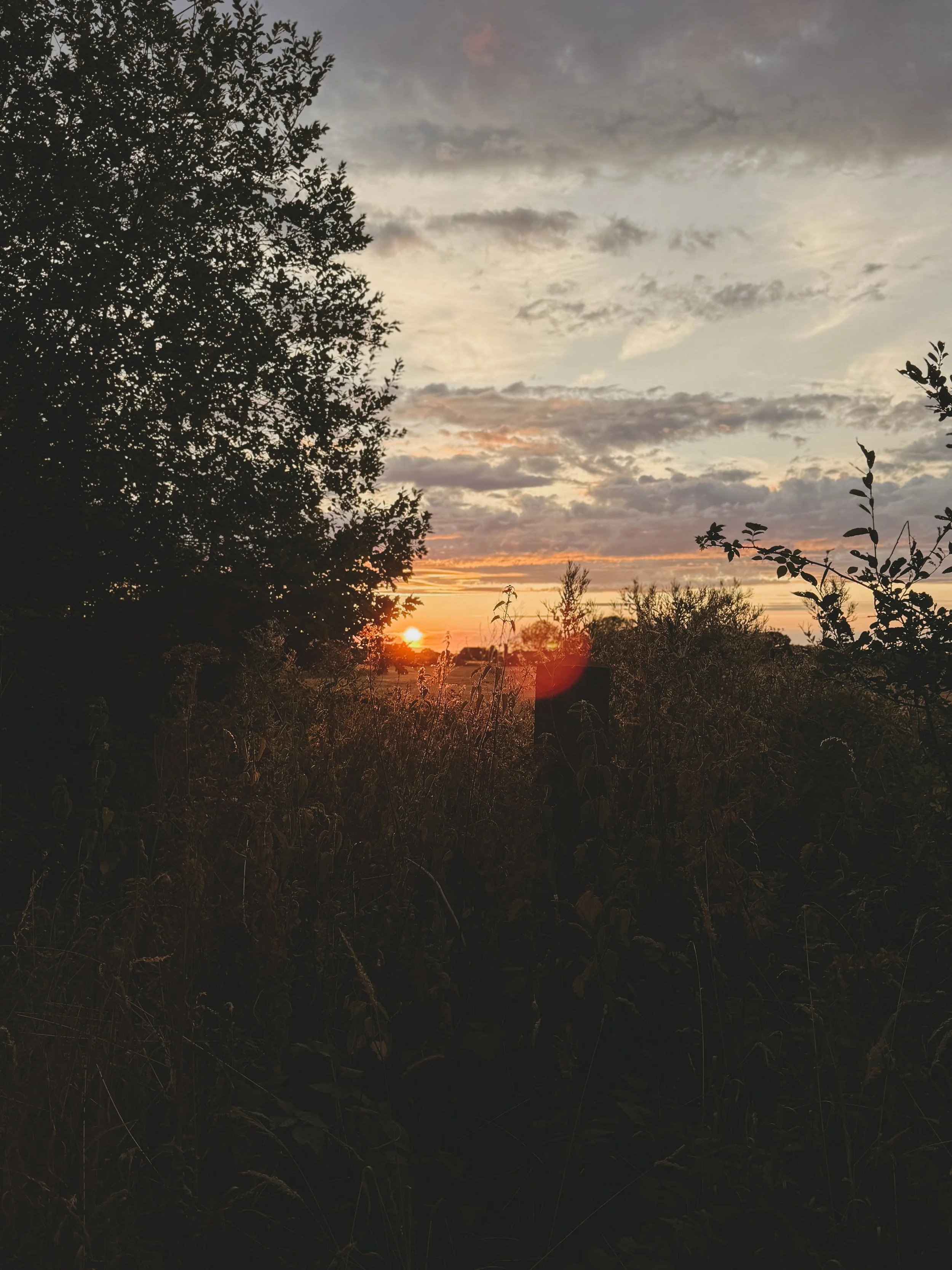 🍃 August, so far&hellip; 🍃

Halfway through August, and we&rsquo;re now heading into our very last week here at Rose Cottage. 🤍

This month has brought its challenges and its heartache, but amongst it all there have been so many little glimmers to