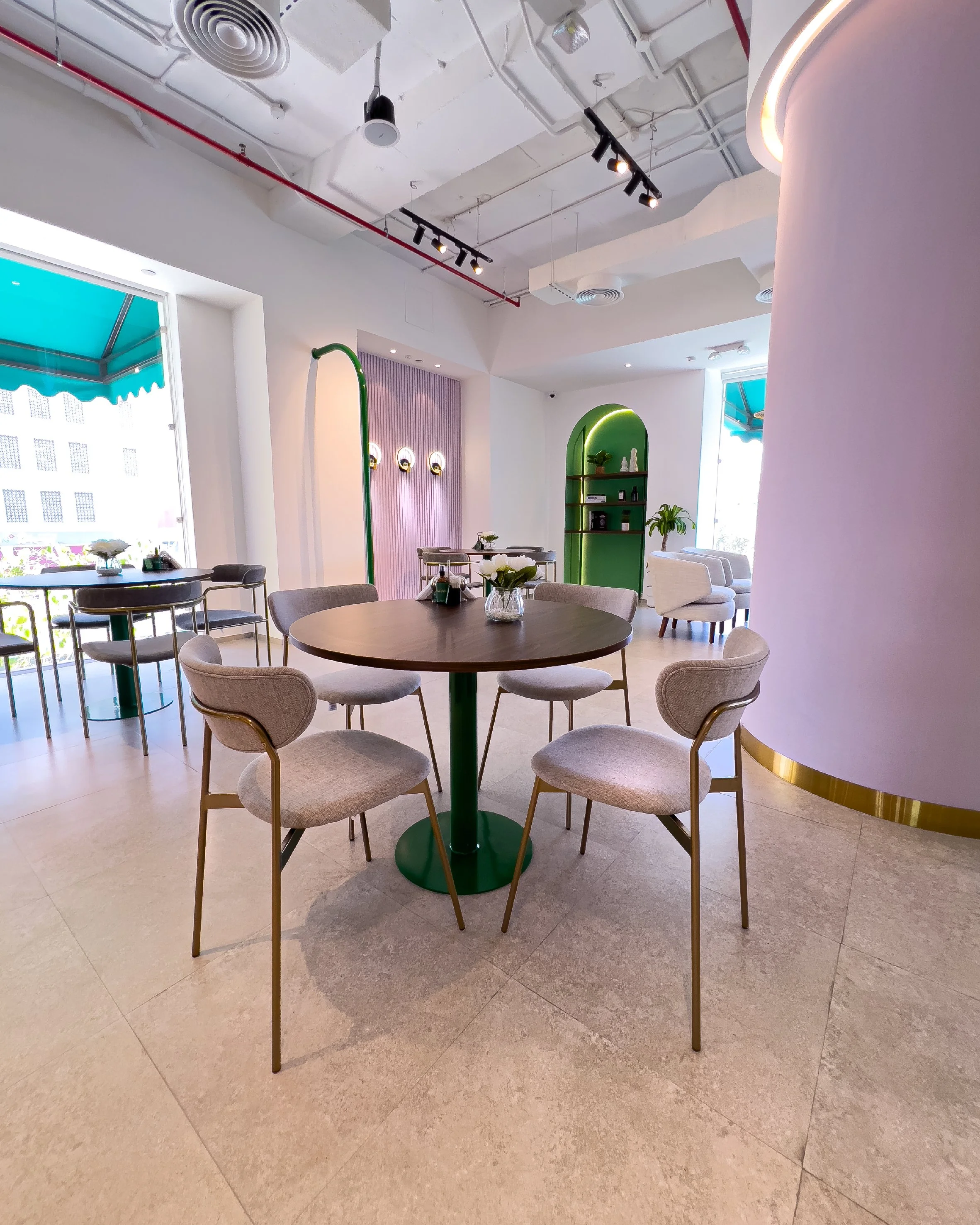 Catura_2-01.jpg