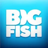 Logo with white text 'BIG FISH' on a blue background