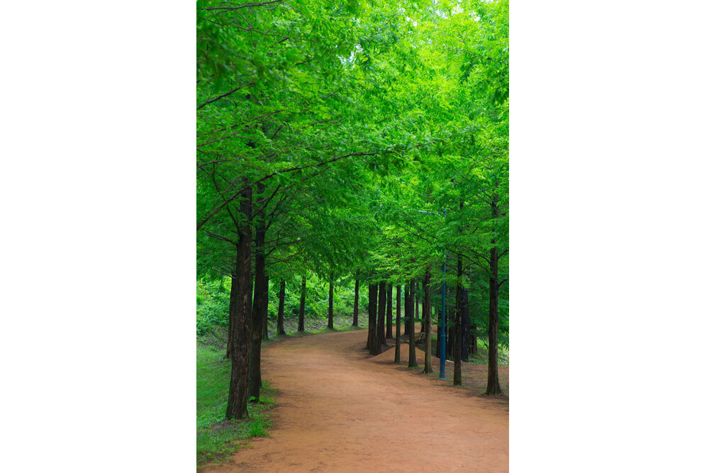 당신의 생에 당신이 주인입니까?