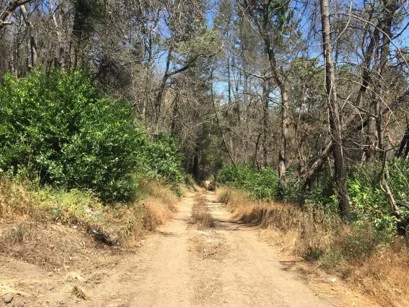 Bald Mtn Shaded Break Before Example 2.jpg