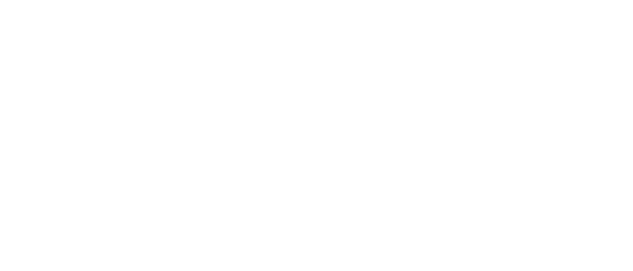 Replika Software