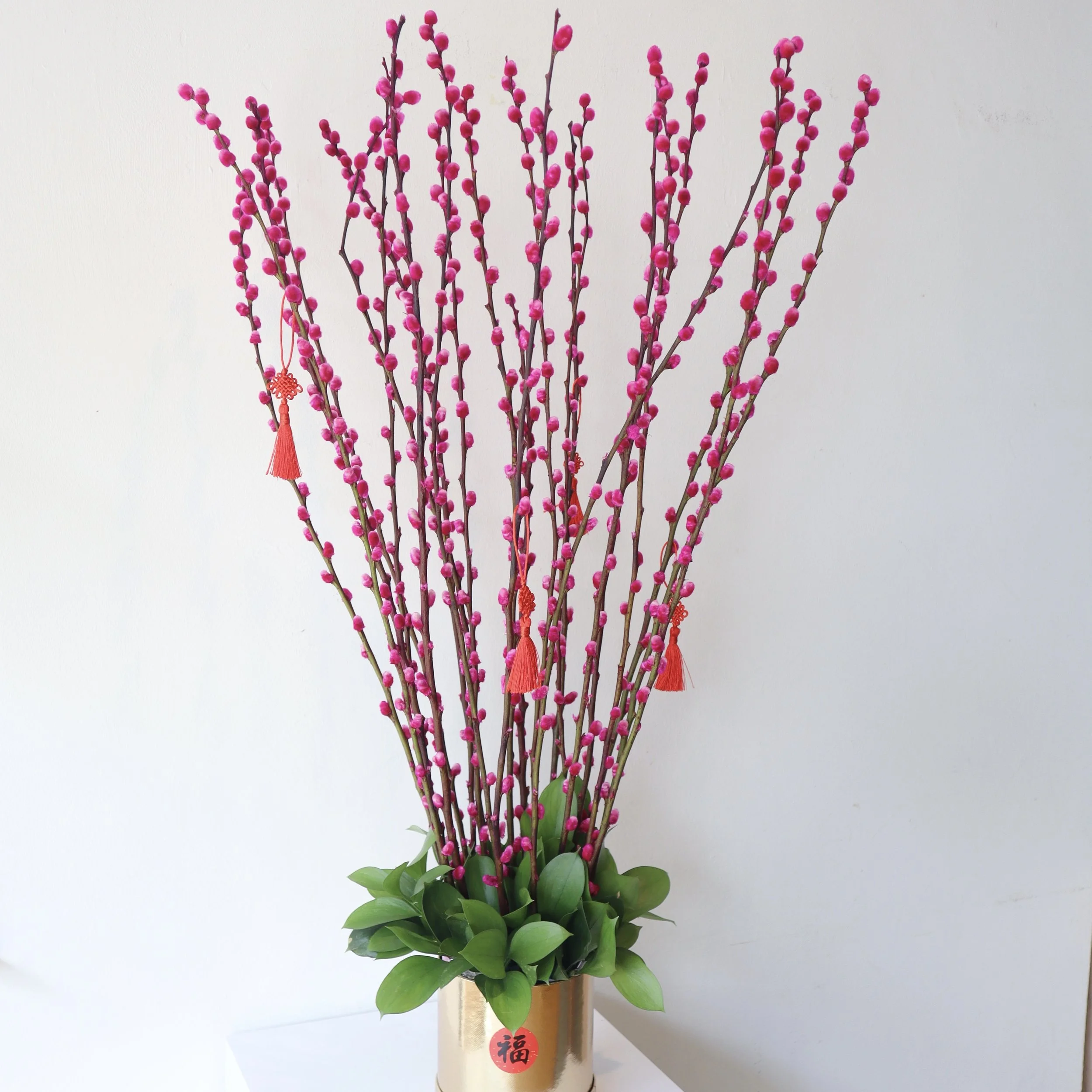 12AA7FC3-B298-4729-97EE-A5B5AE5AB035 2.jpg