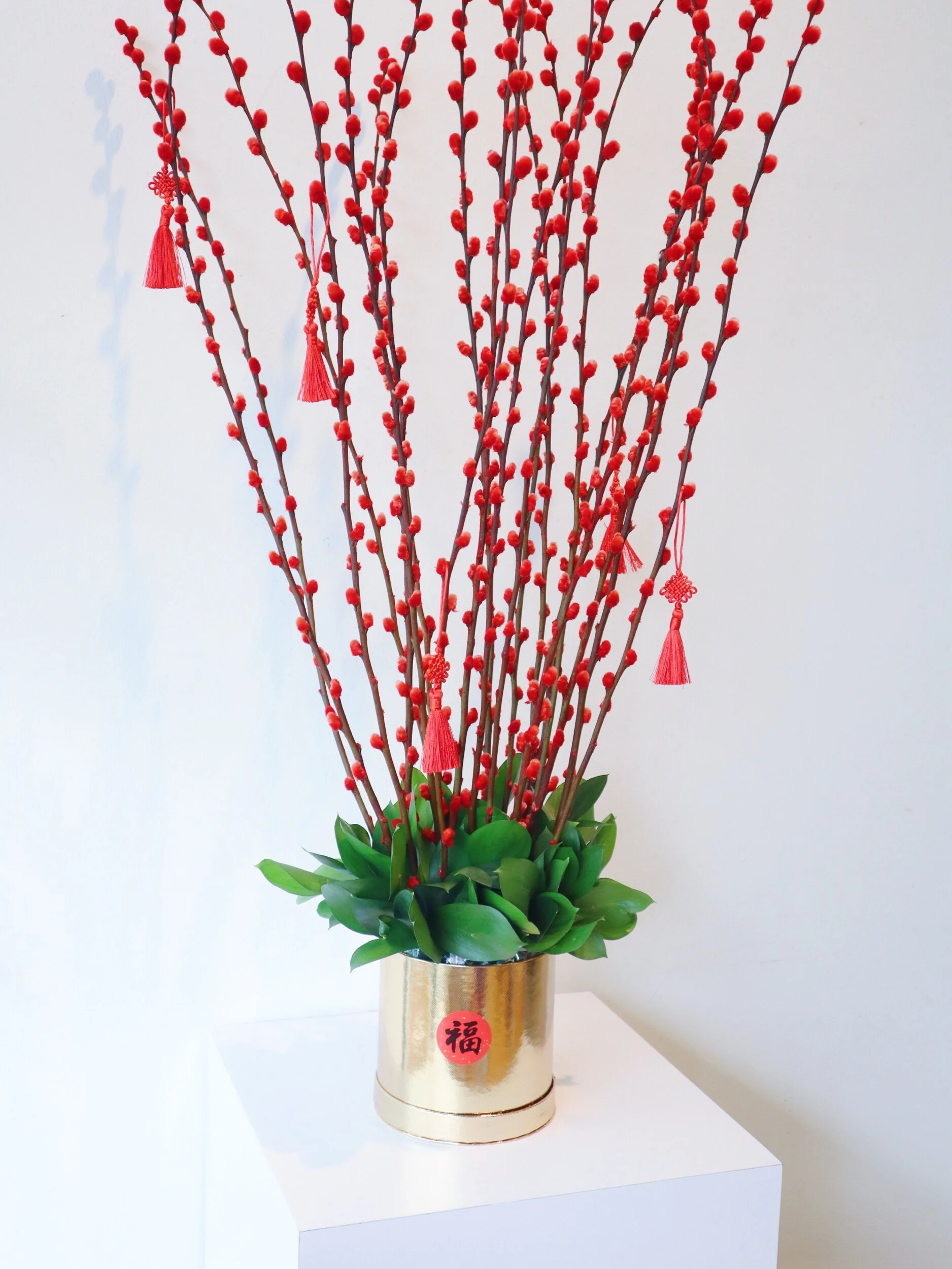 9F0418E3-3926-46F1-98B6-517A43D14AC0