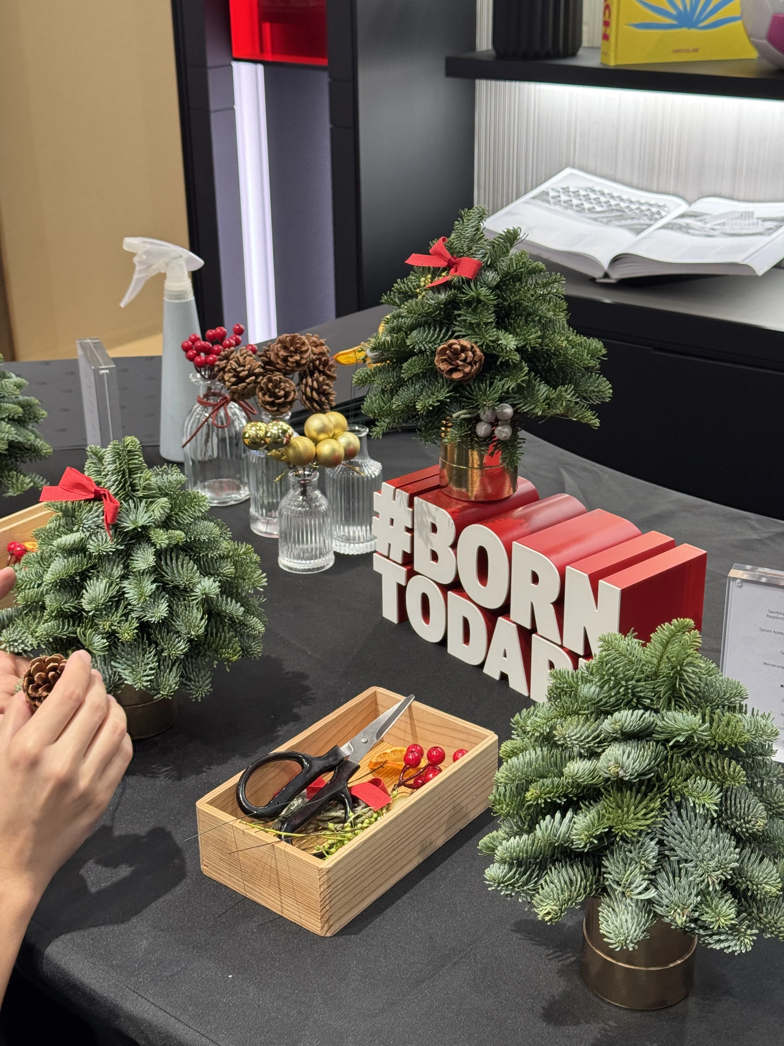 Mini Christmas Tree Activity with Tudor