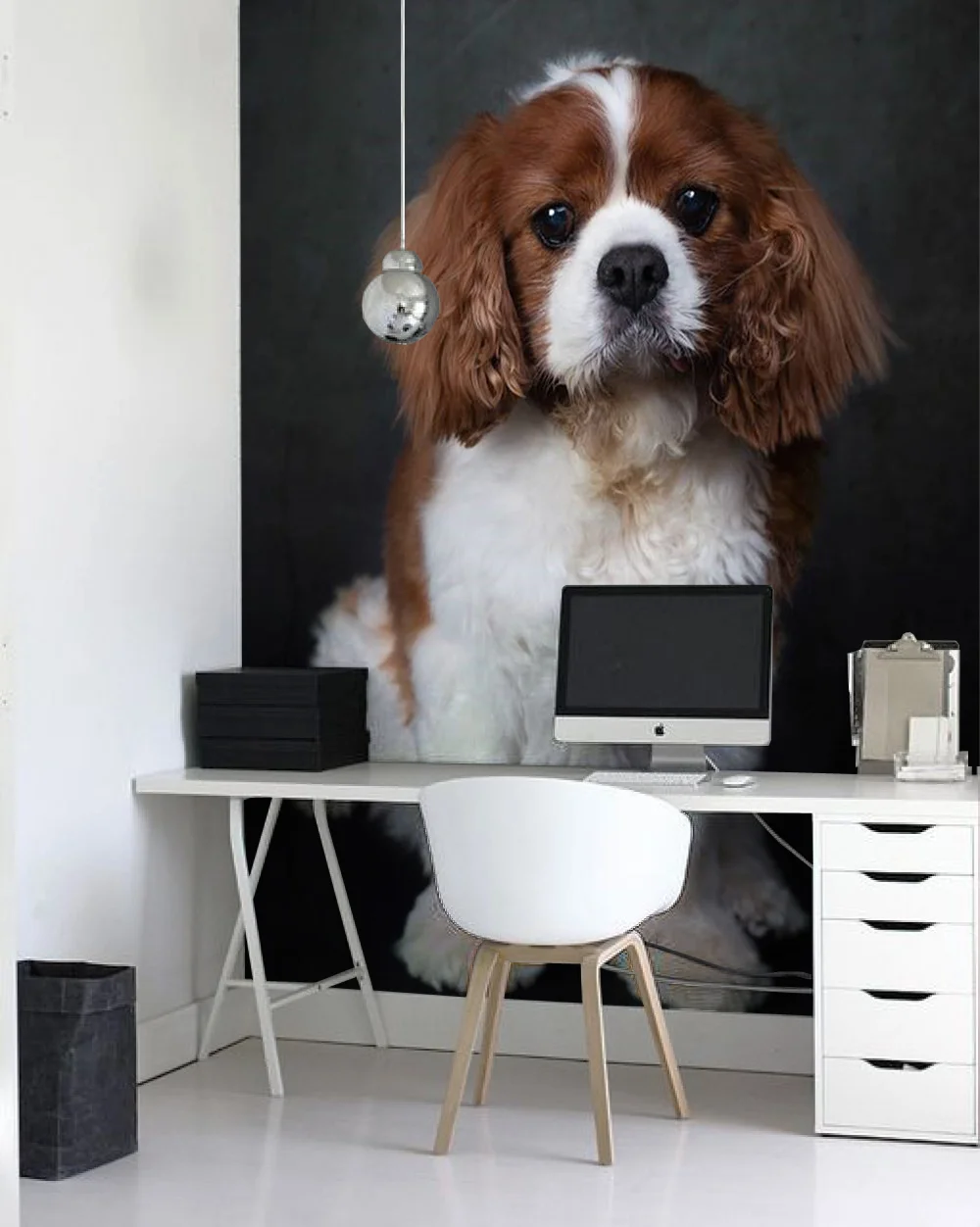 David Dog 1.jpg