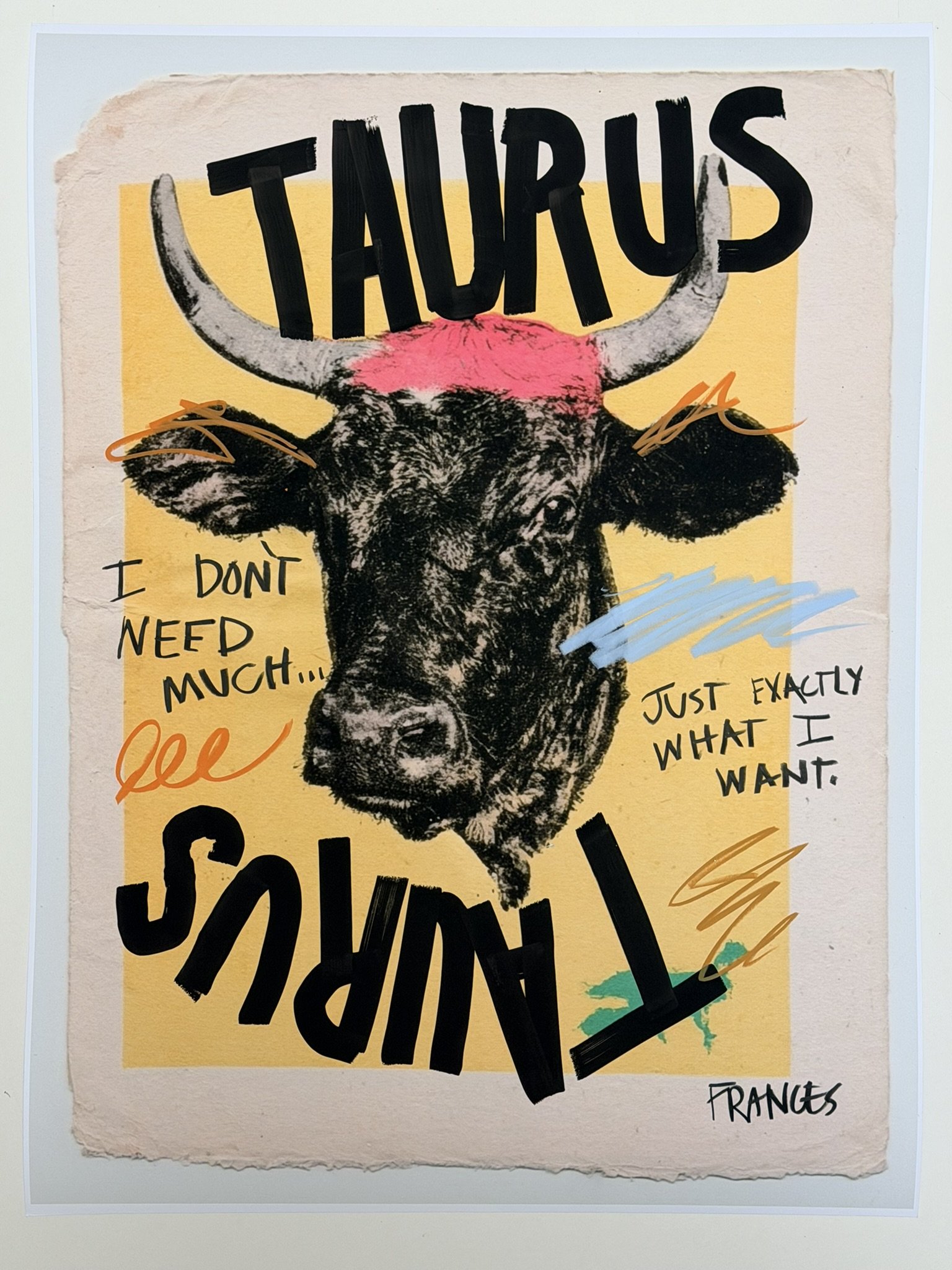 TAURUS 6