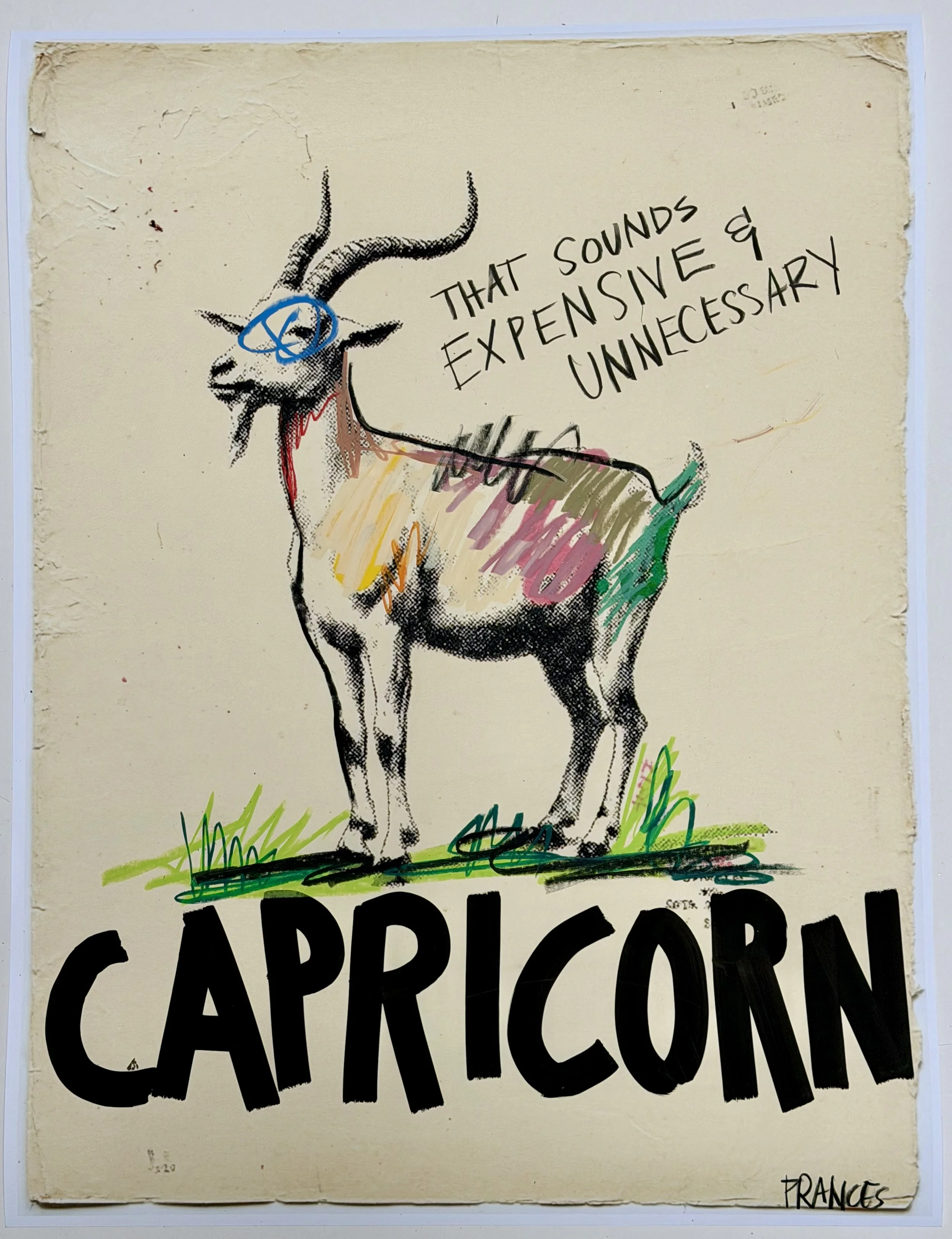 CAPRICORN 4