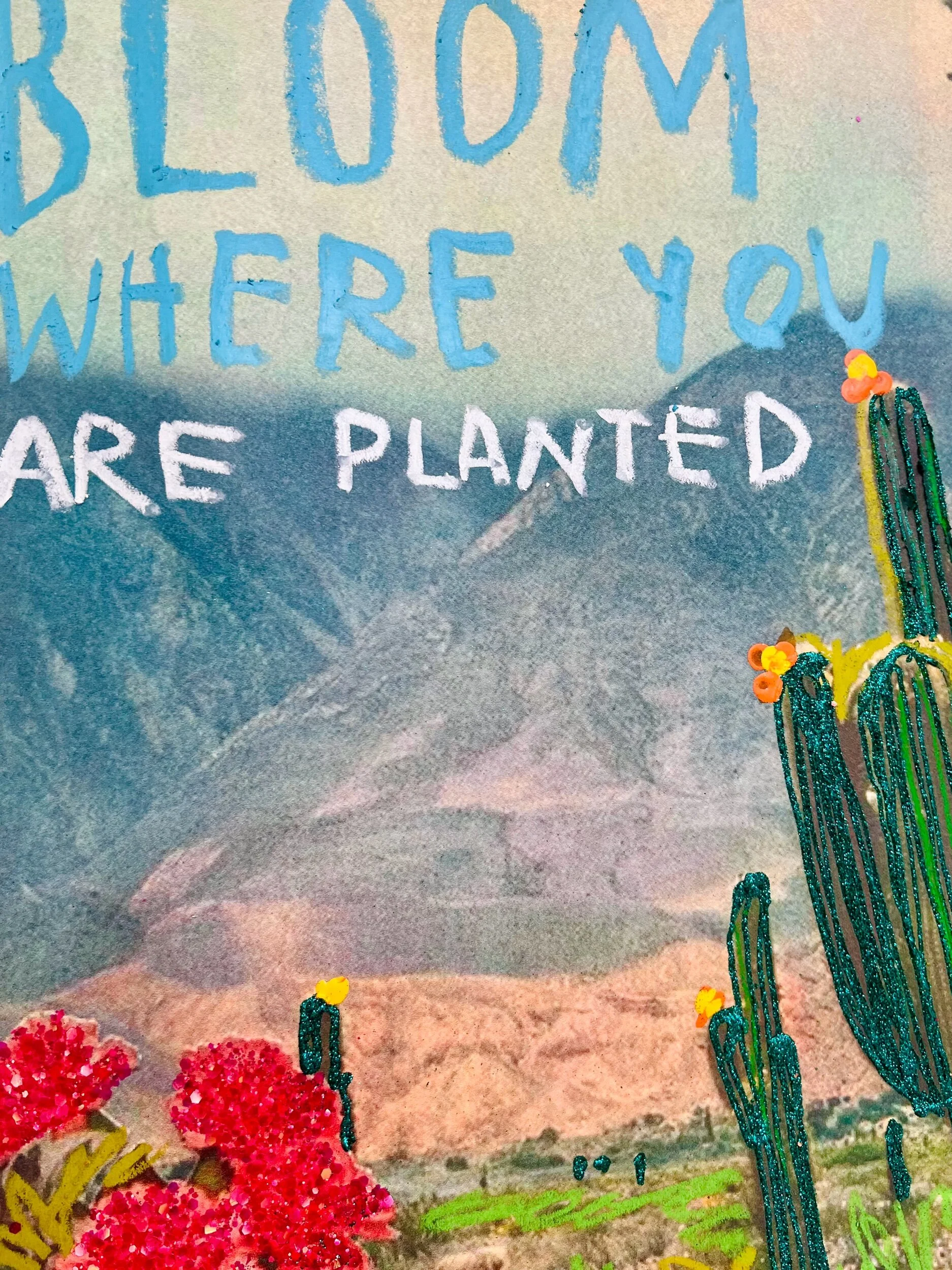 CF7A11D4-4543-403C-8298-D9E625E35BC8