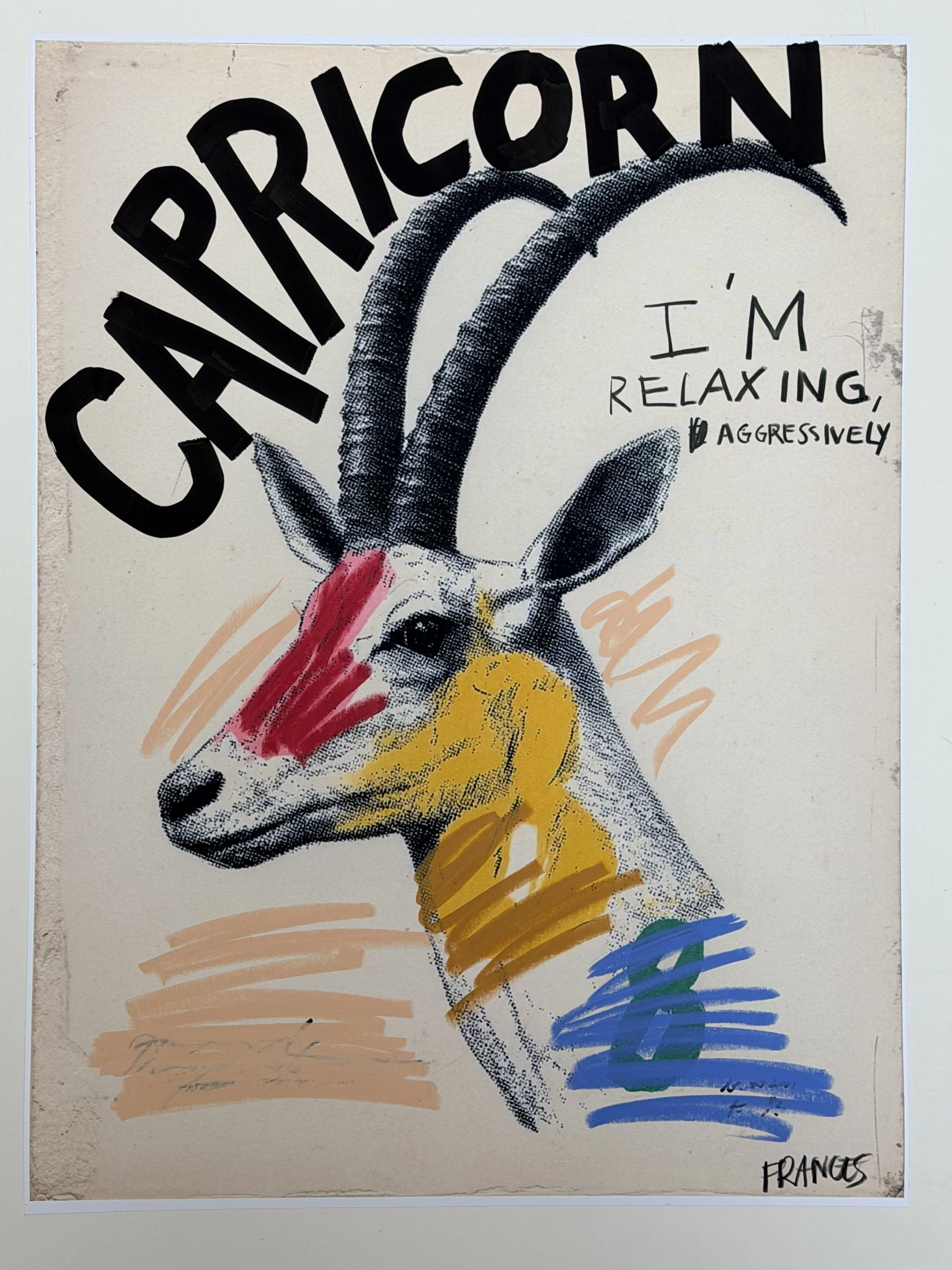 CAPRICORN 2