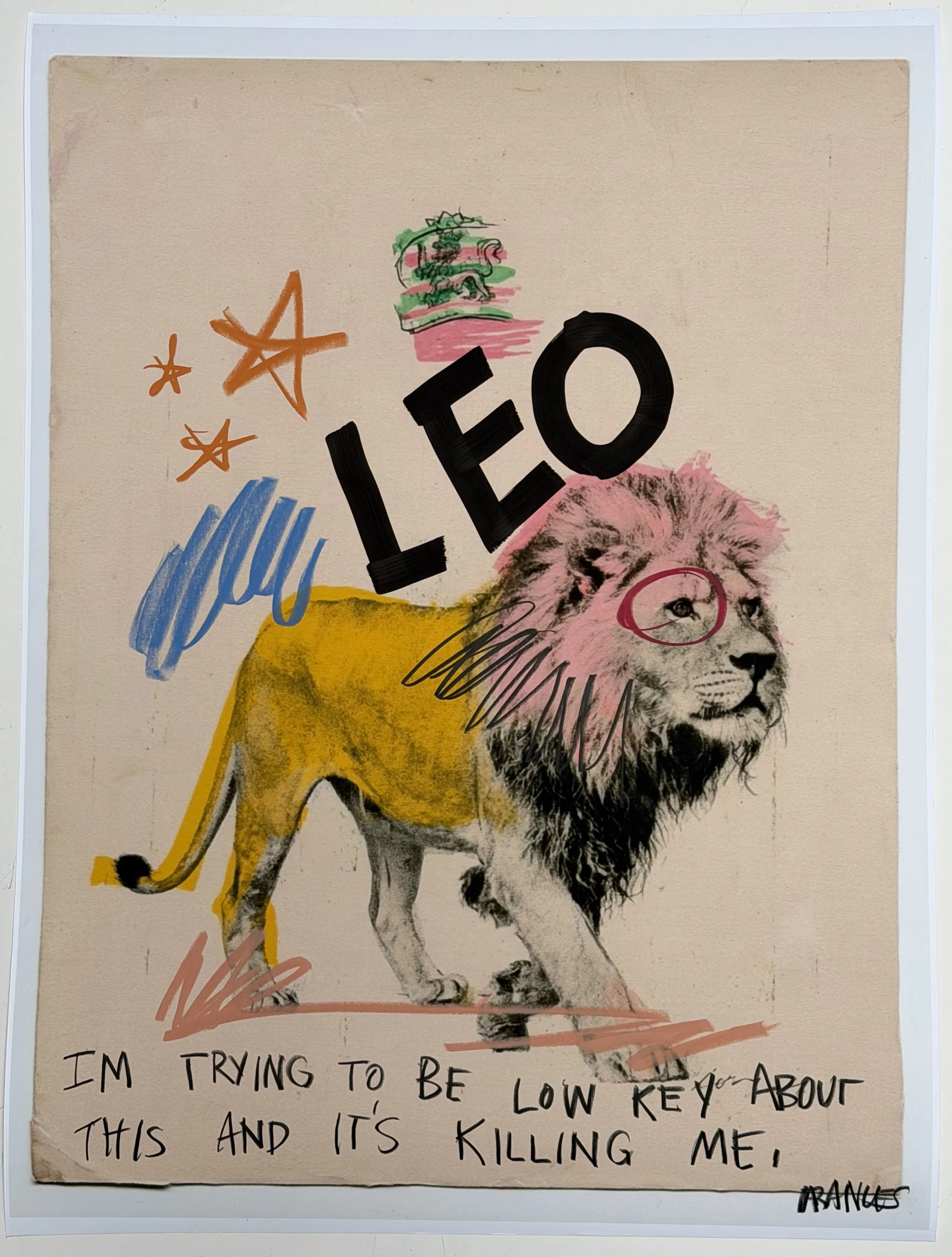 LEO 6