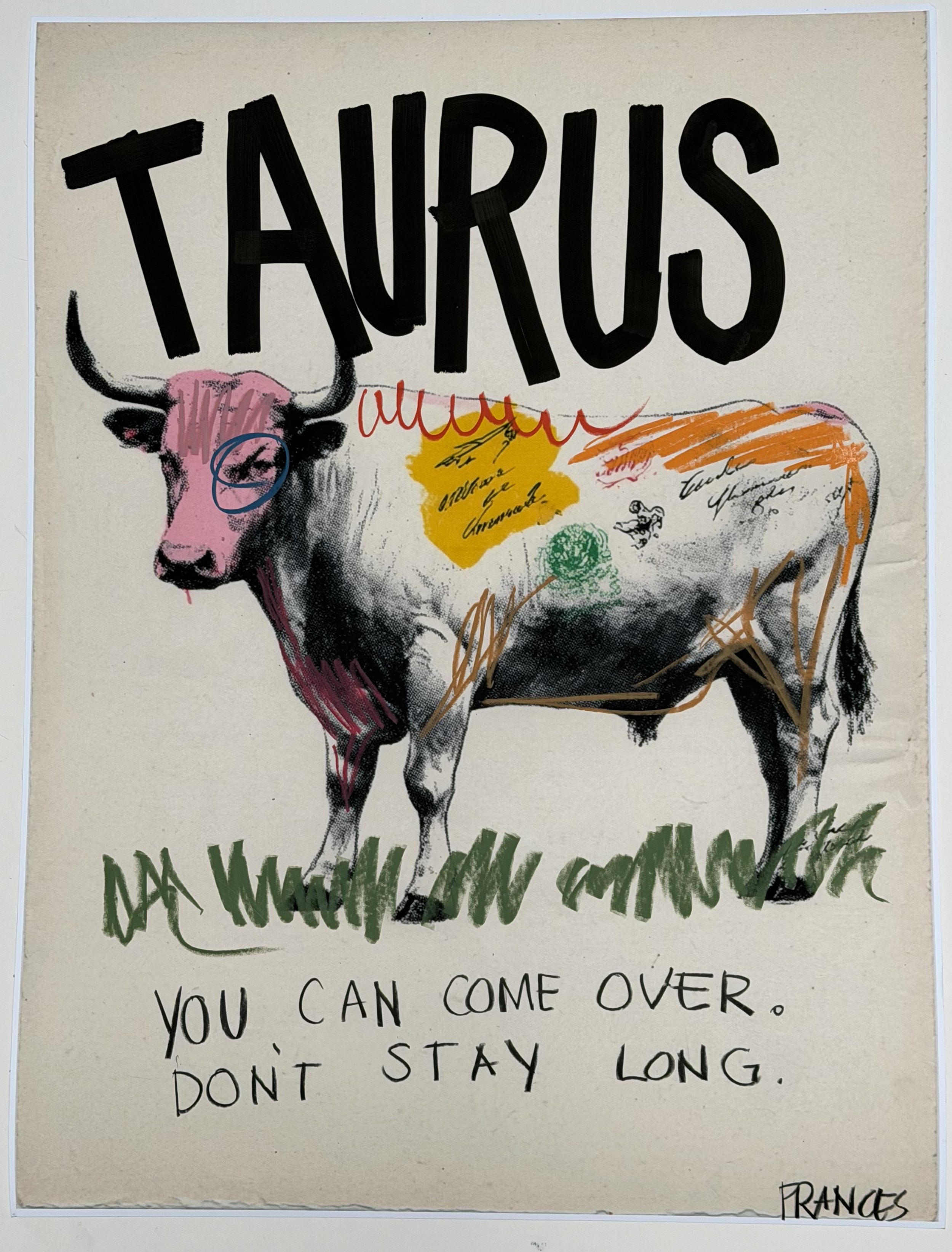 TAURUS 2