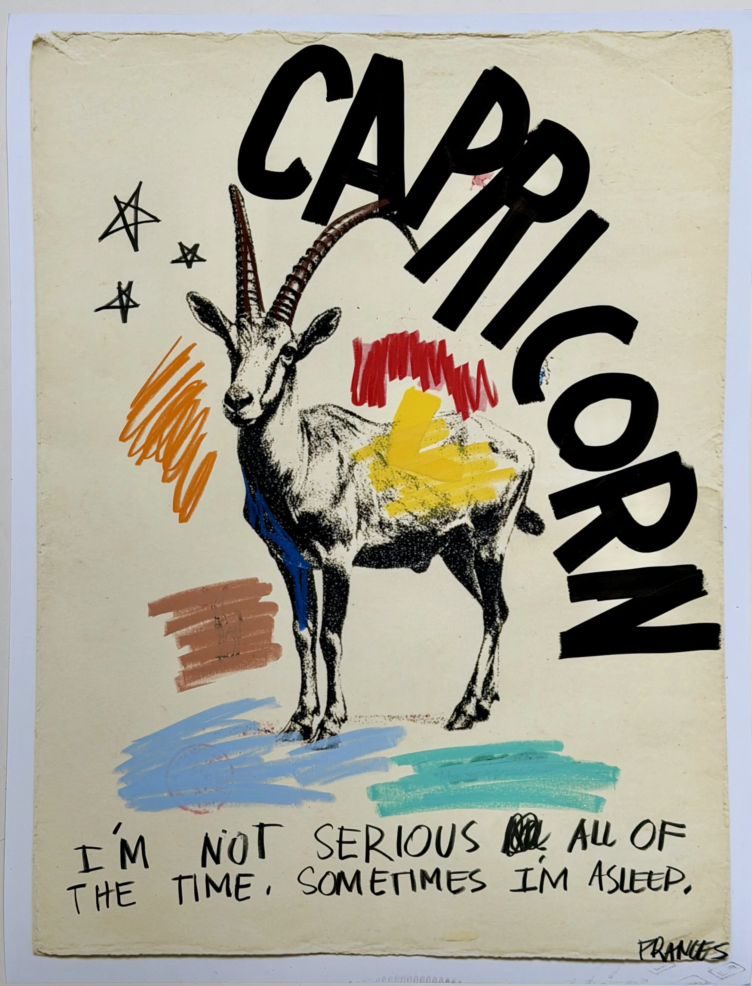 CAPRICORN 1