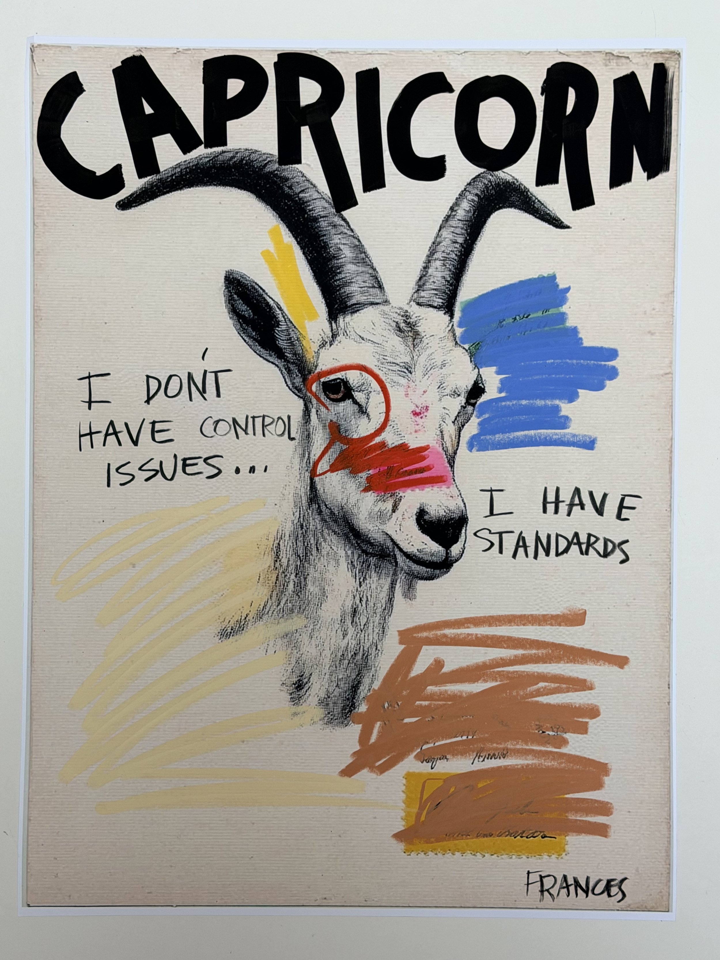 CAPRICORN 1