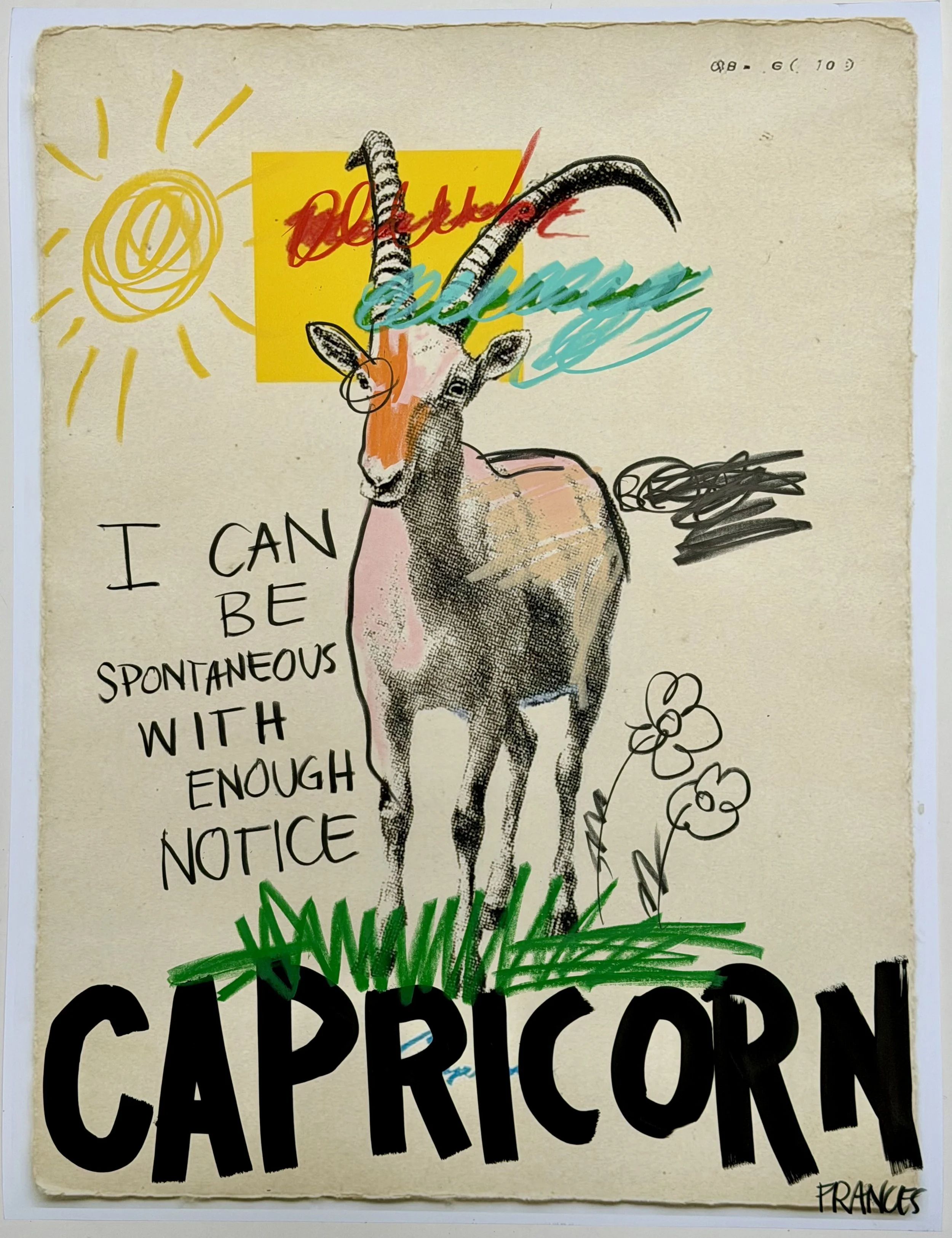 CAPRICORN 2