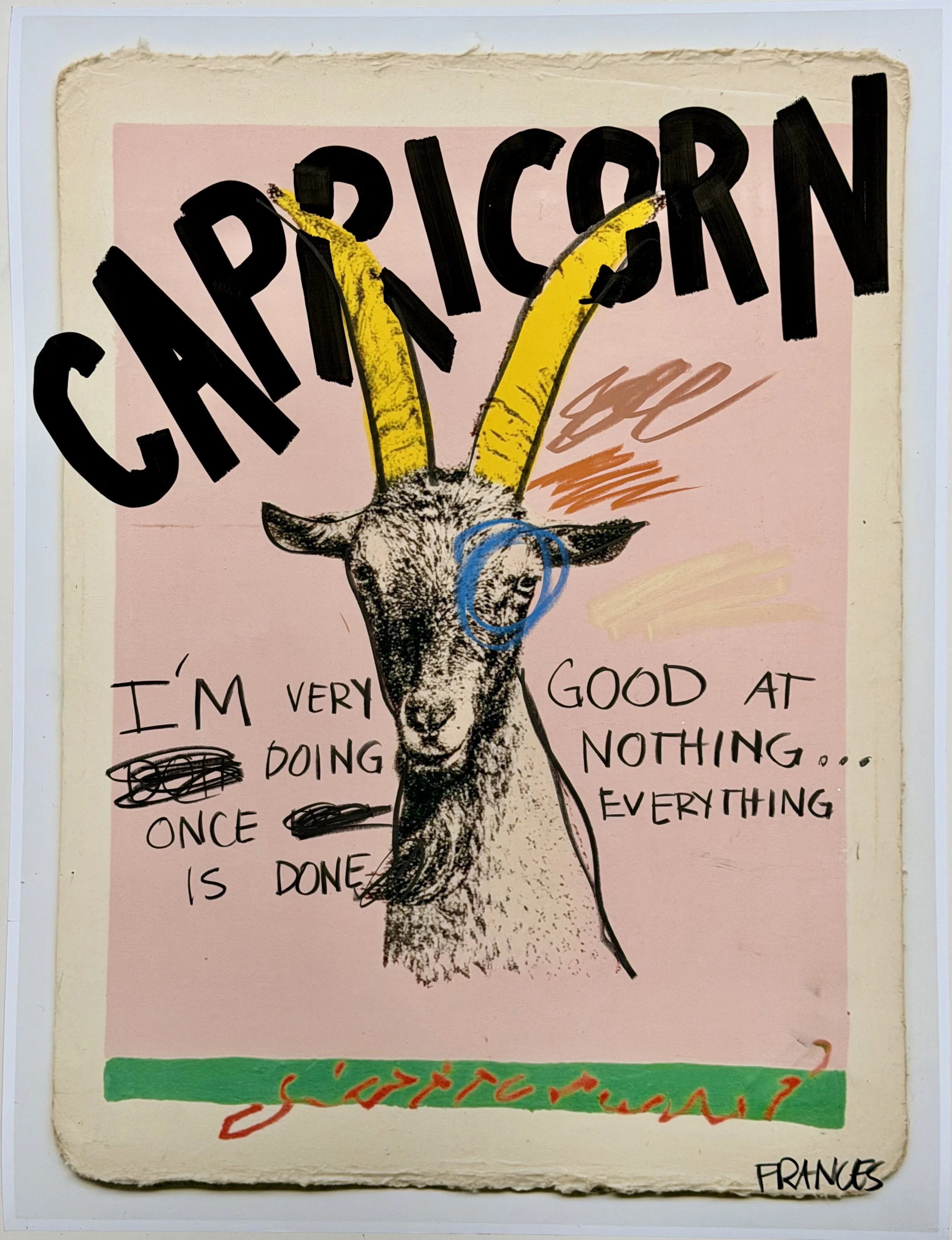 CAPRICORN 1