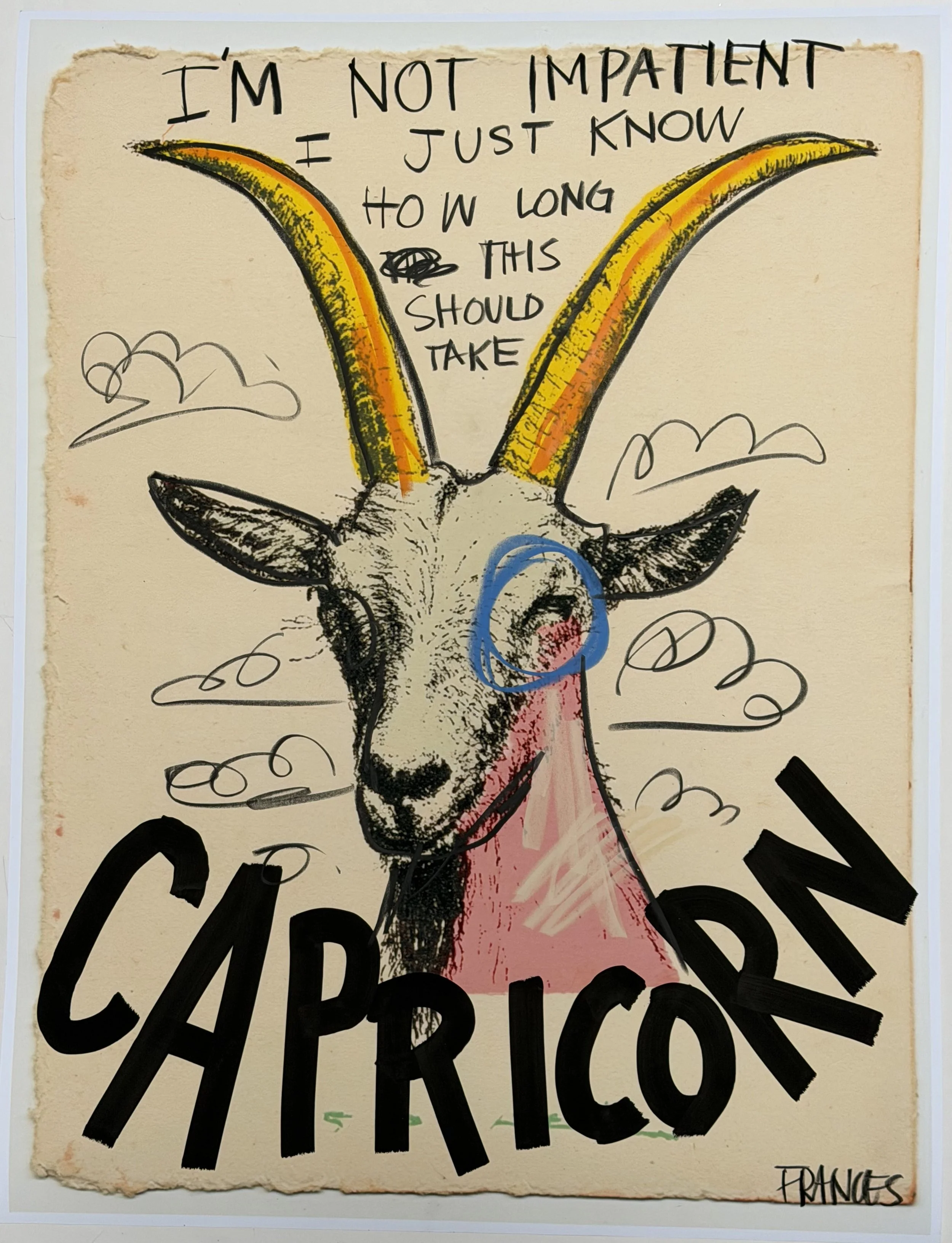 CAPRICORN 3