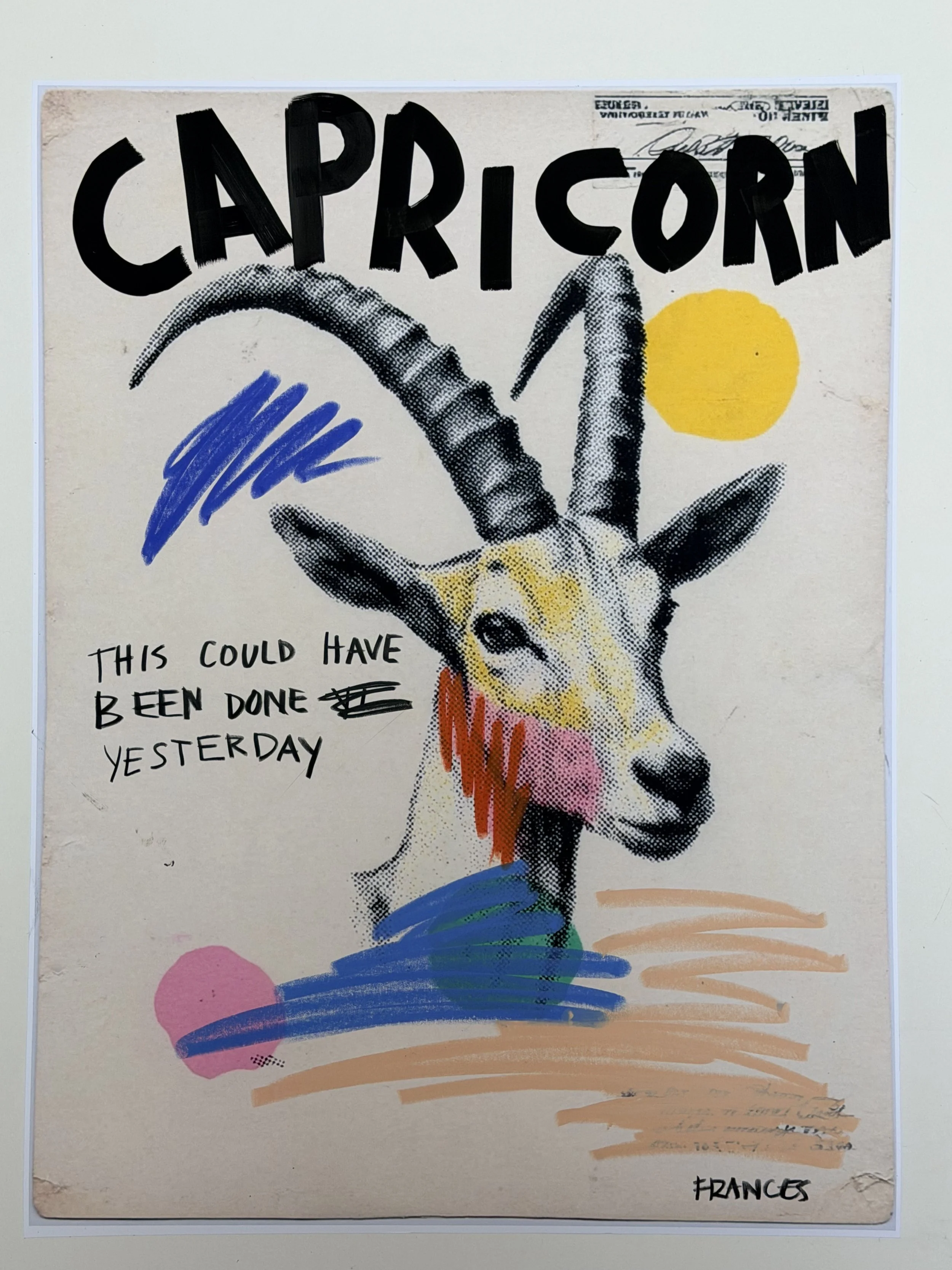 CAPRICORN 3