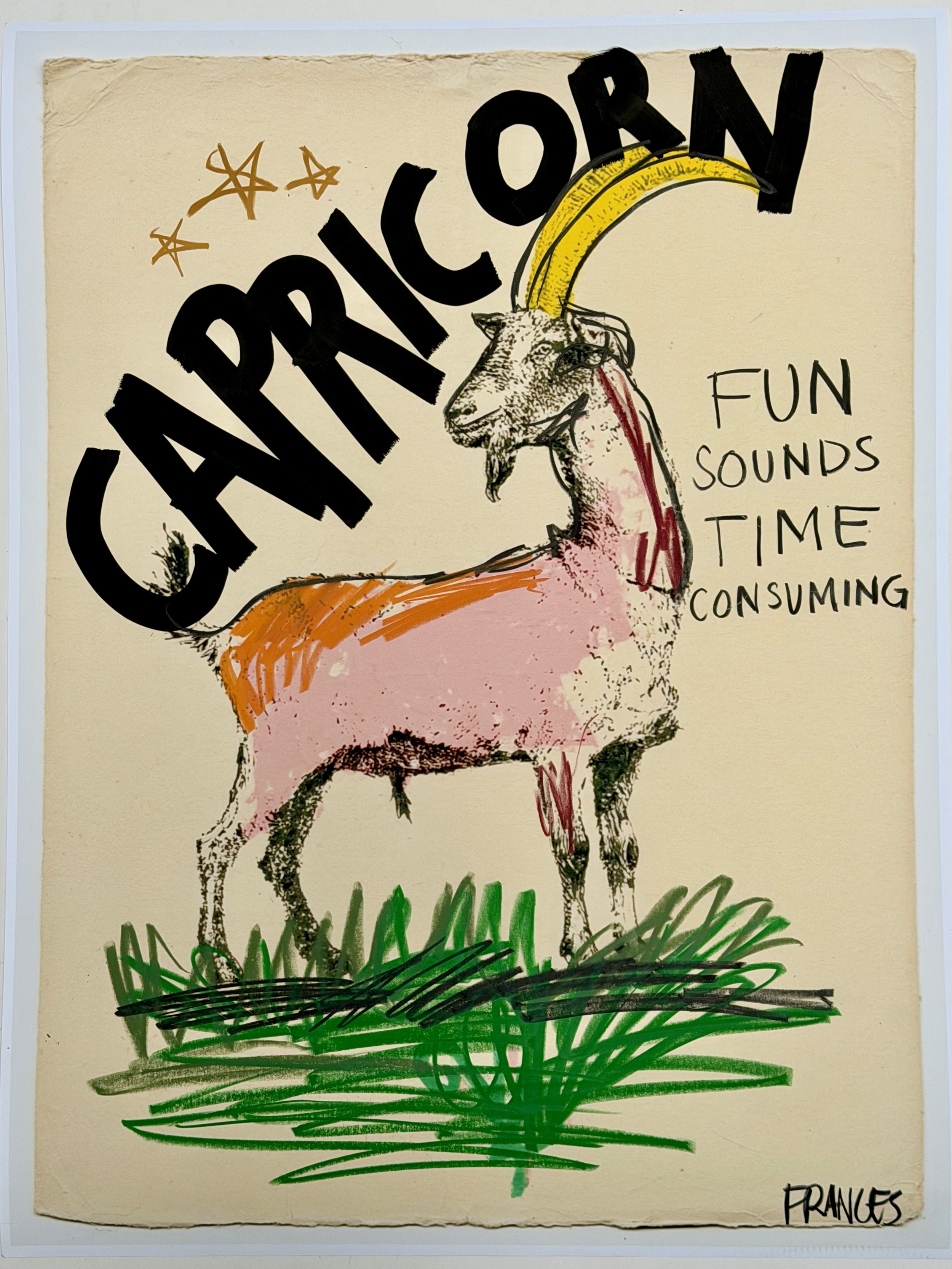 CAPRICORN 3