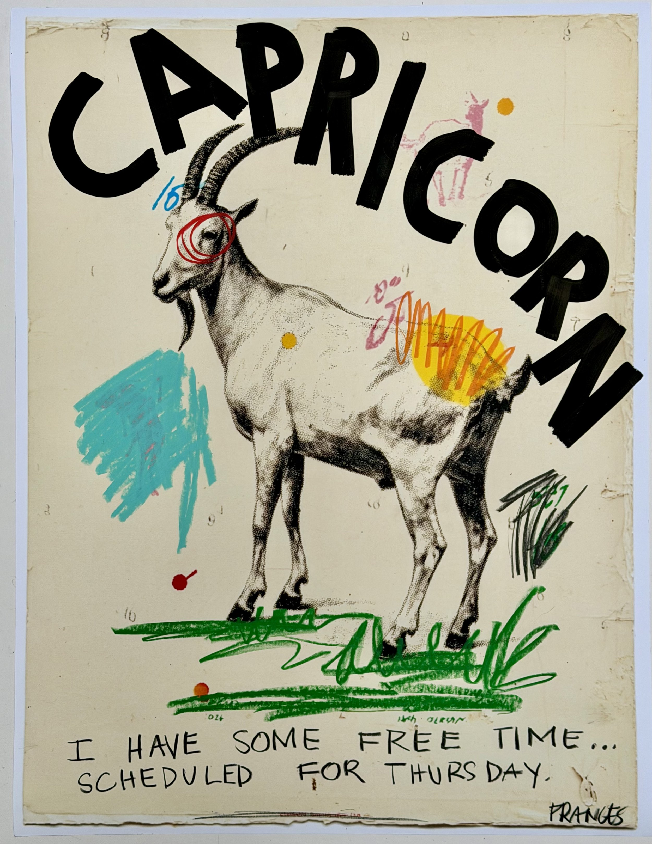 CAPRICORN 4