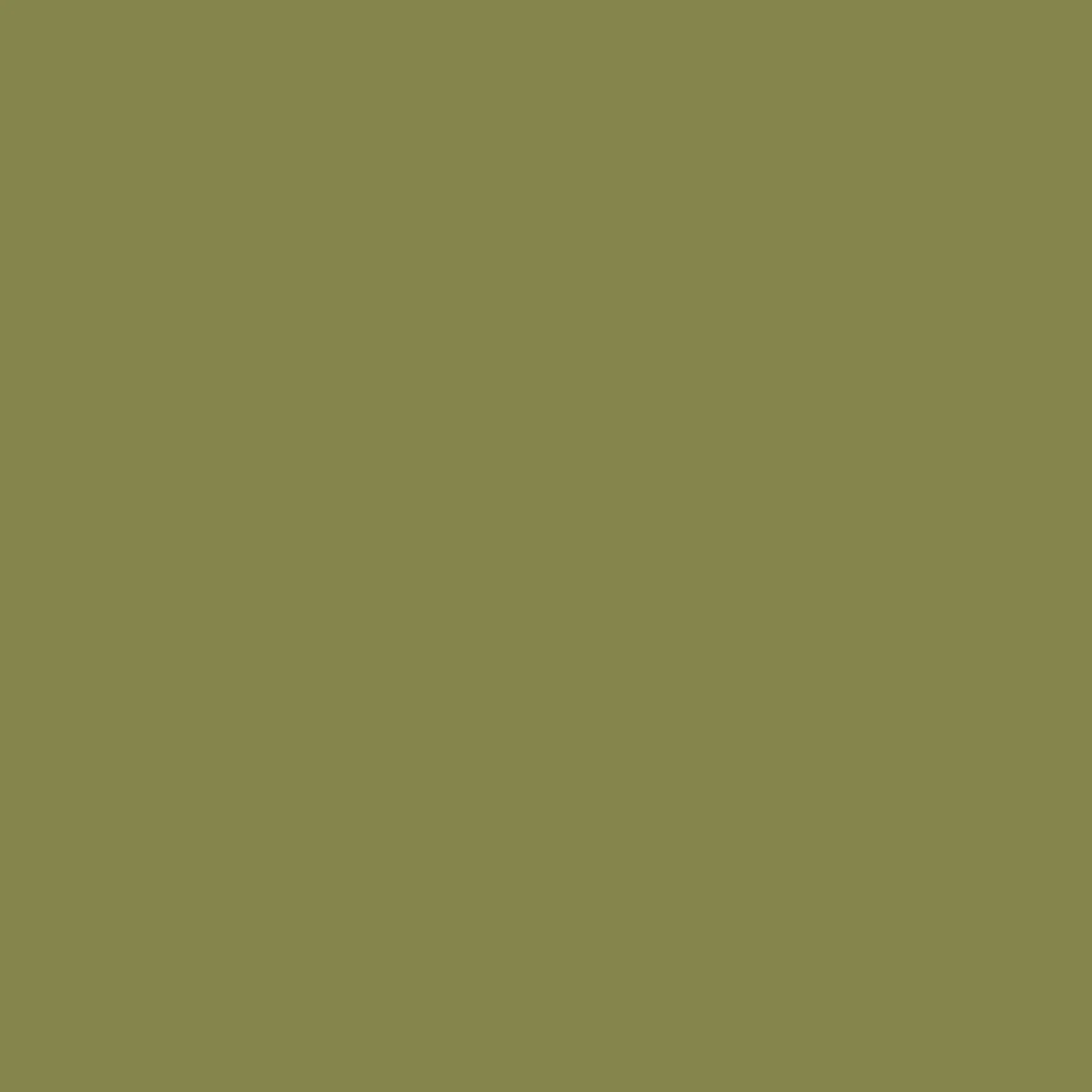 highlight cover colors-04.jpg