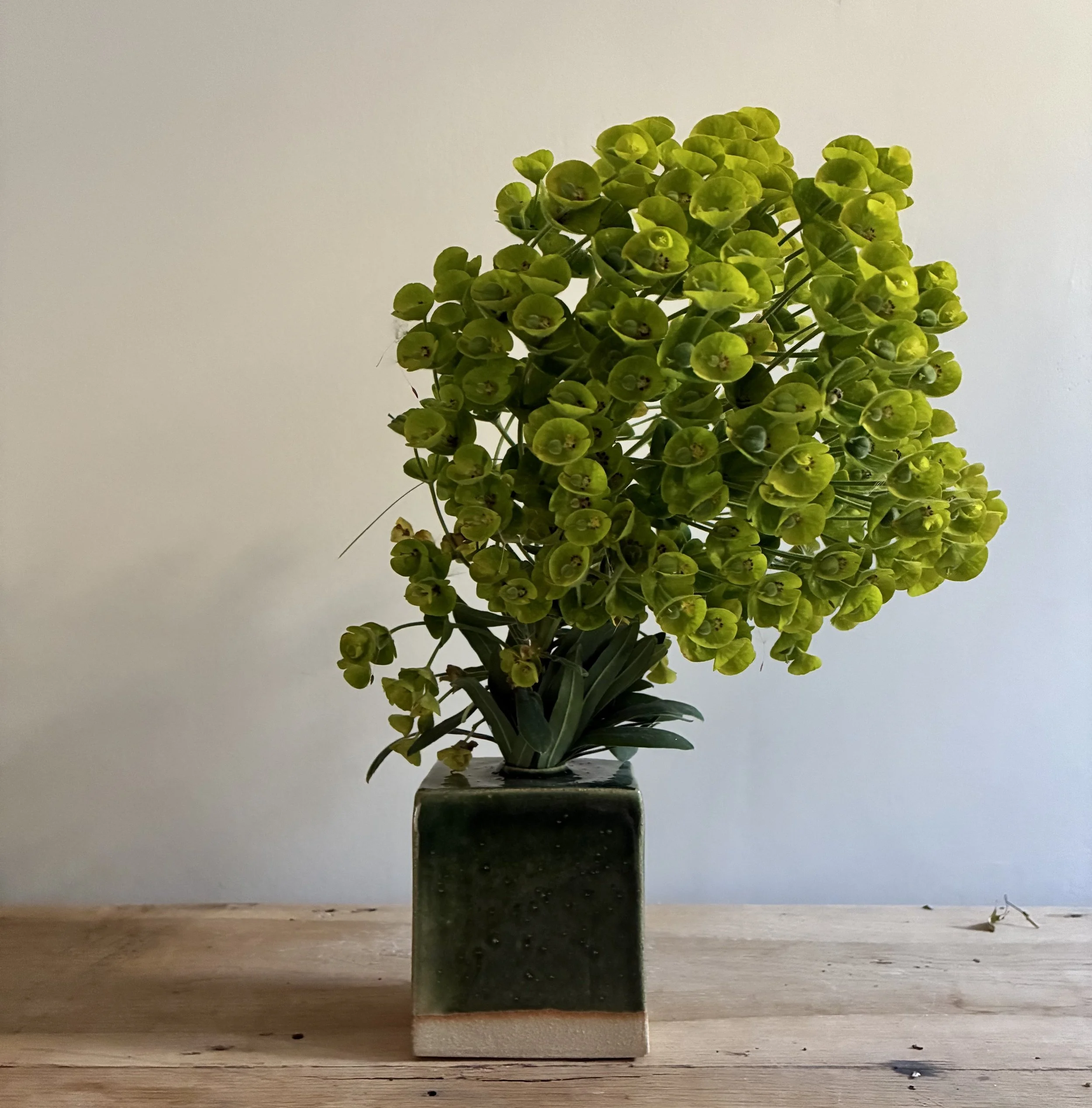 Rectangular Box Vase 1 2.jpeg