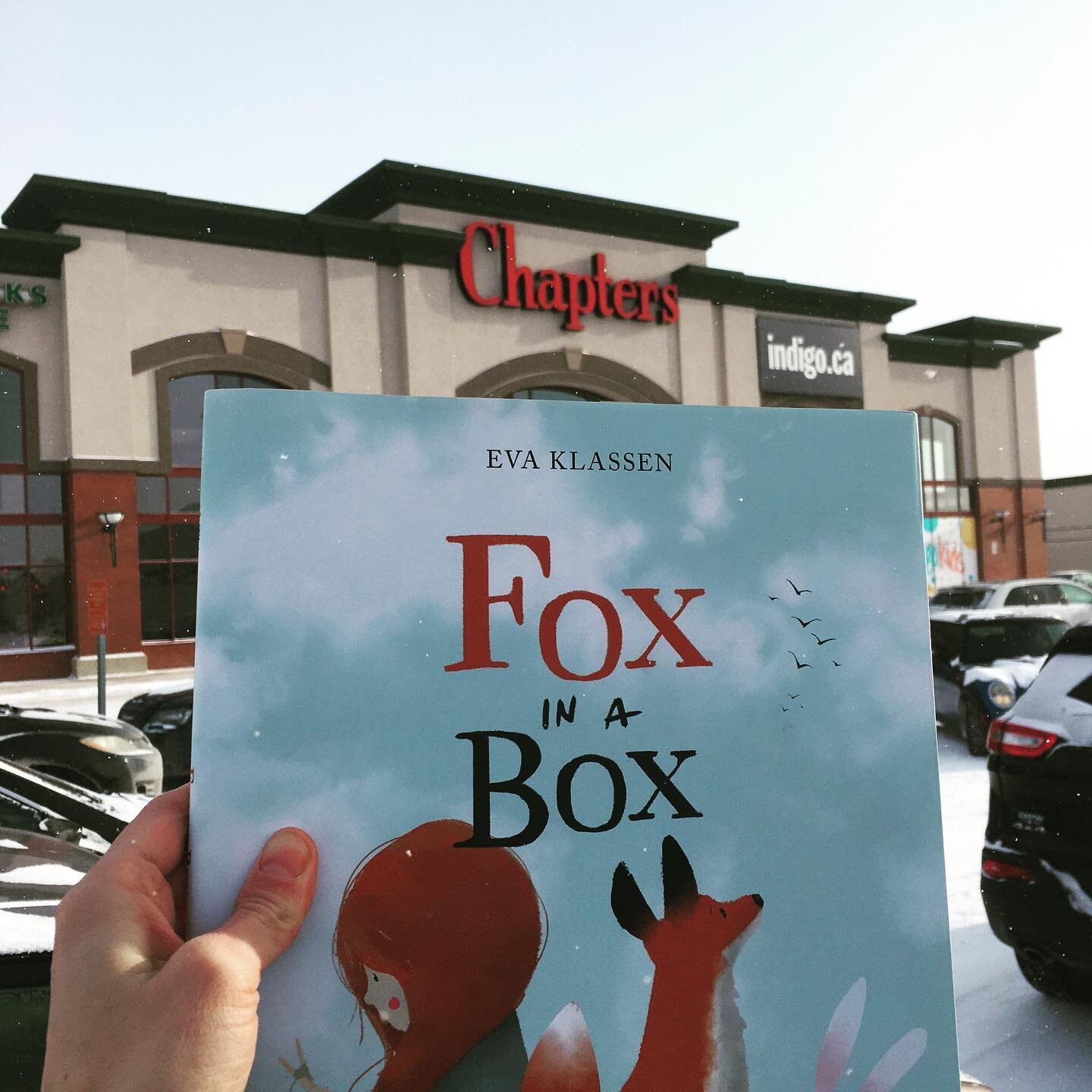 Fox in a Box is now on shelves at all Chapters and Indigo locations in Winnipeg! Rad. 📚 See link in bio for all in-store locations! 🦊🦊🦊