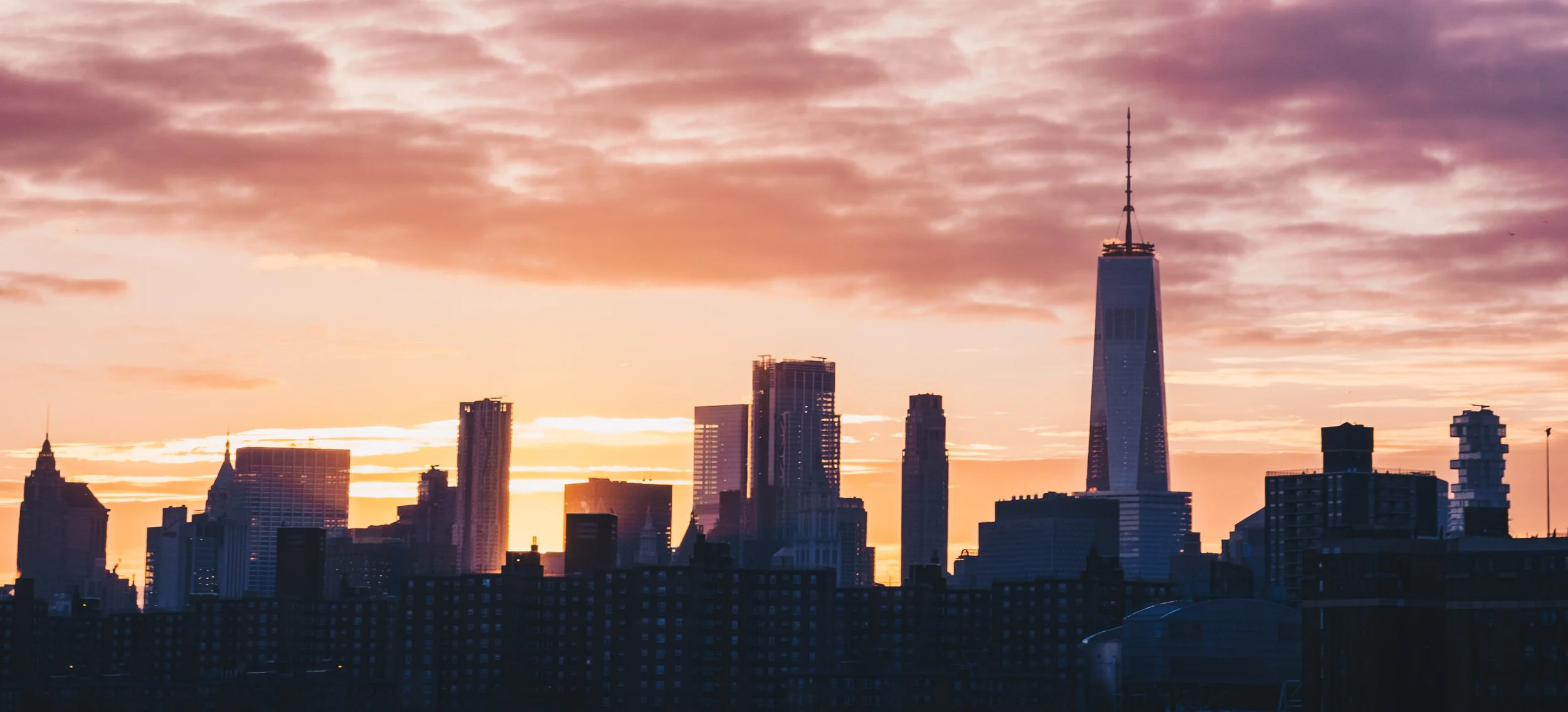 zac-ong-Dnn-lrbhXzg-unsplash(1).jpg