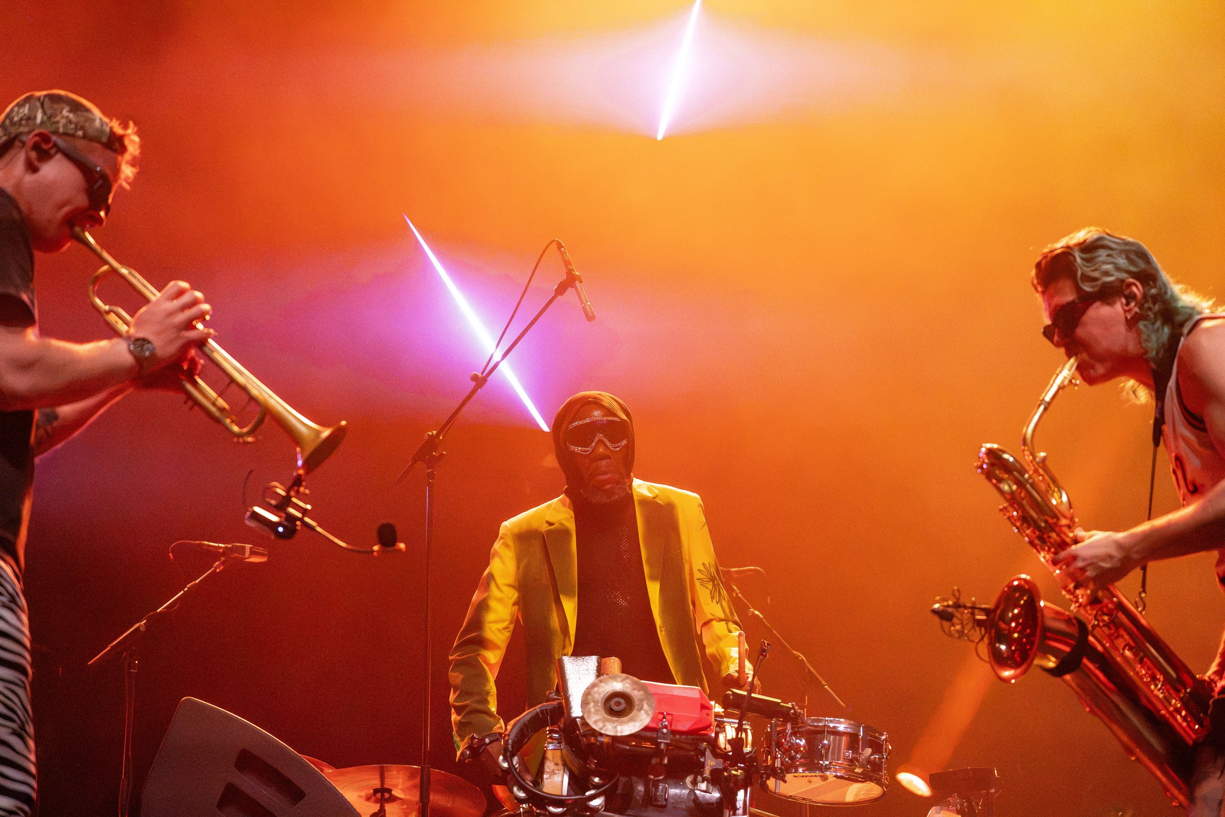toomanyzooz_3.jpg