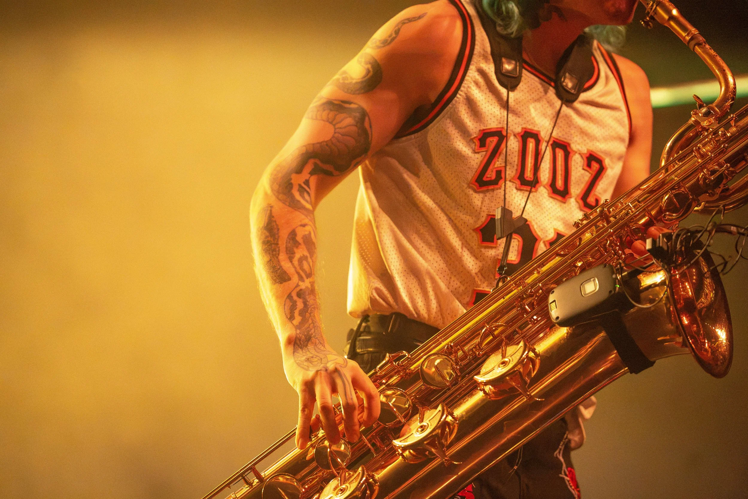 toomanyzooz_5.jpg