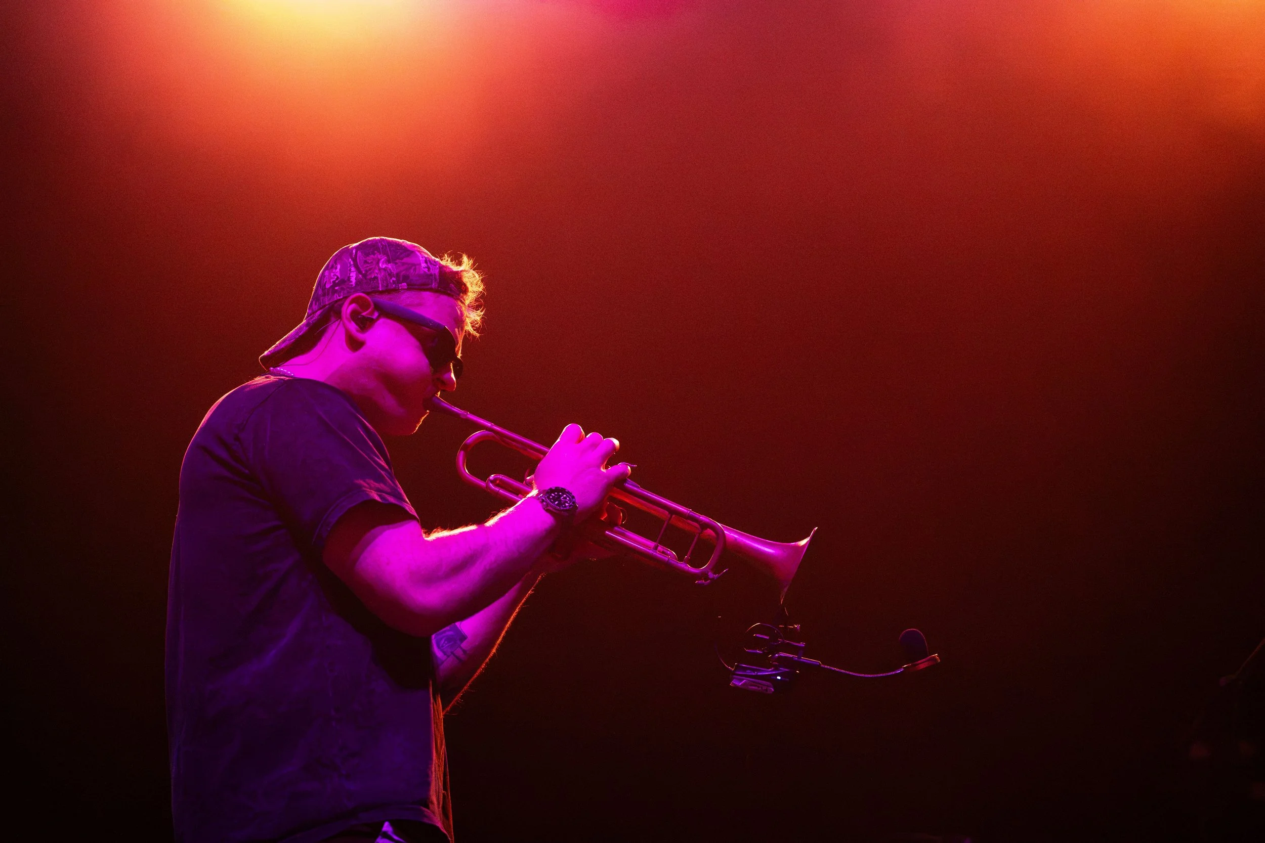 toomanyzooz_2.jpg