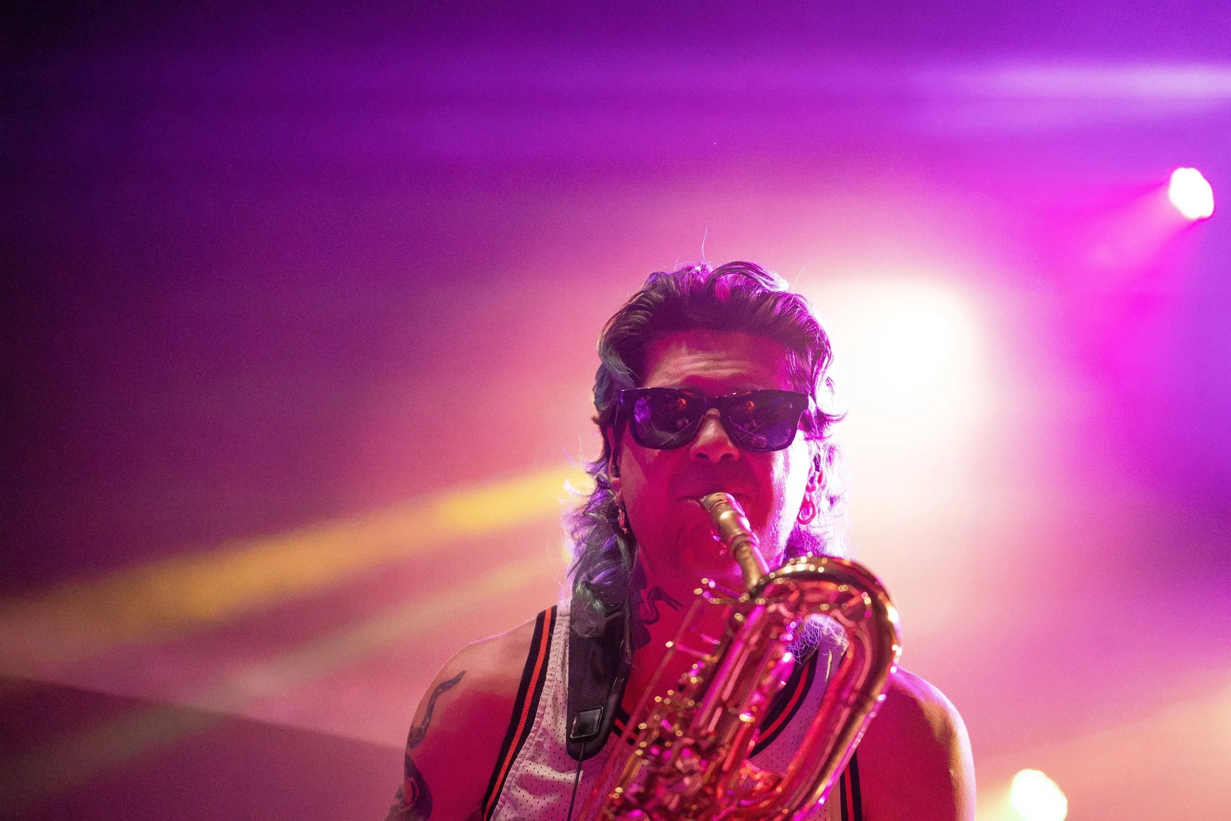 toomanyzooz_10.jpg