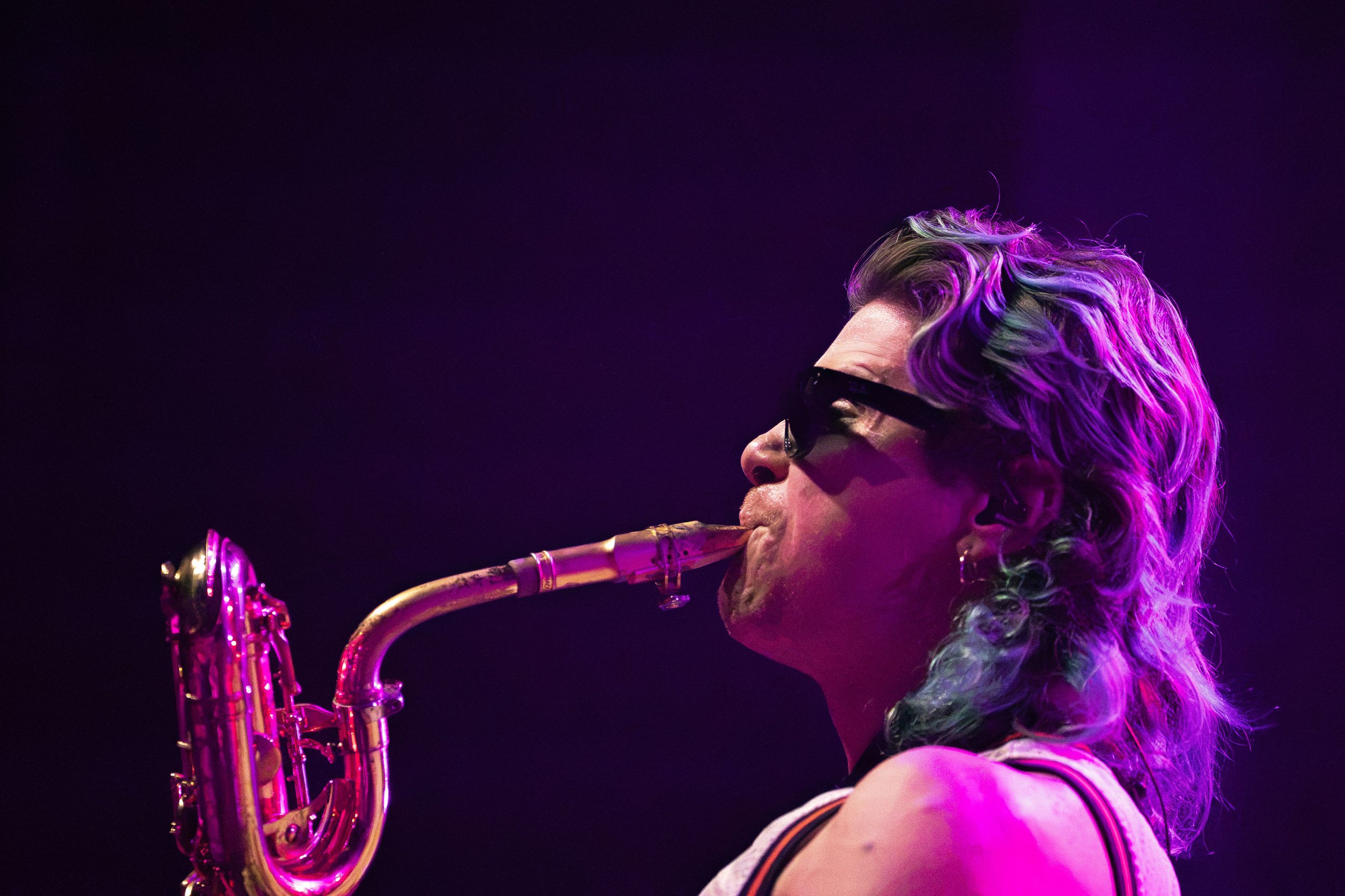 toomanyzooz_7.jpg
