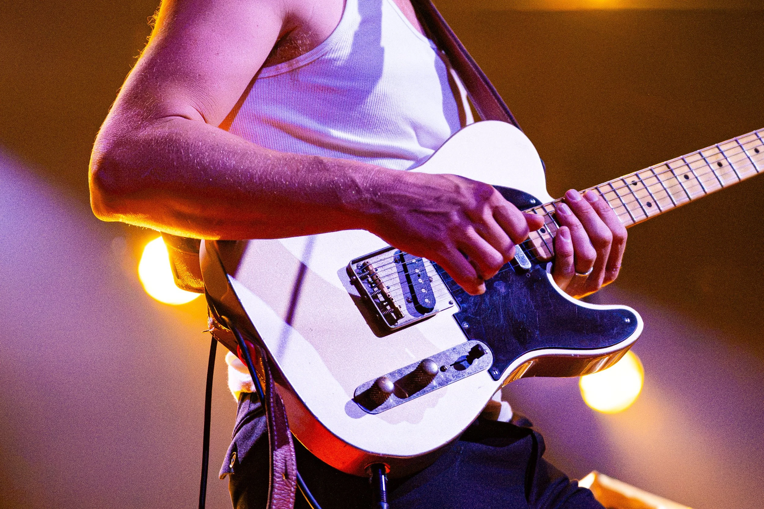 BigThief_Bailey_66.jpg