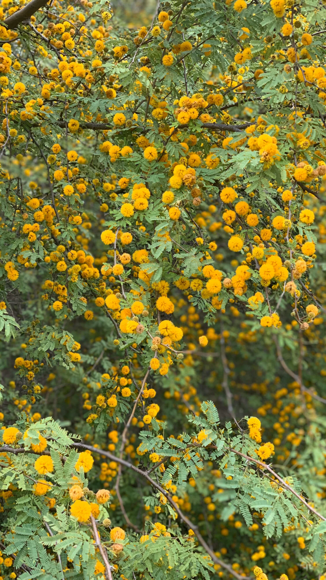 Inclusivity Statement