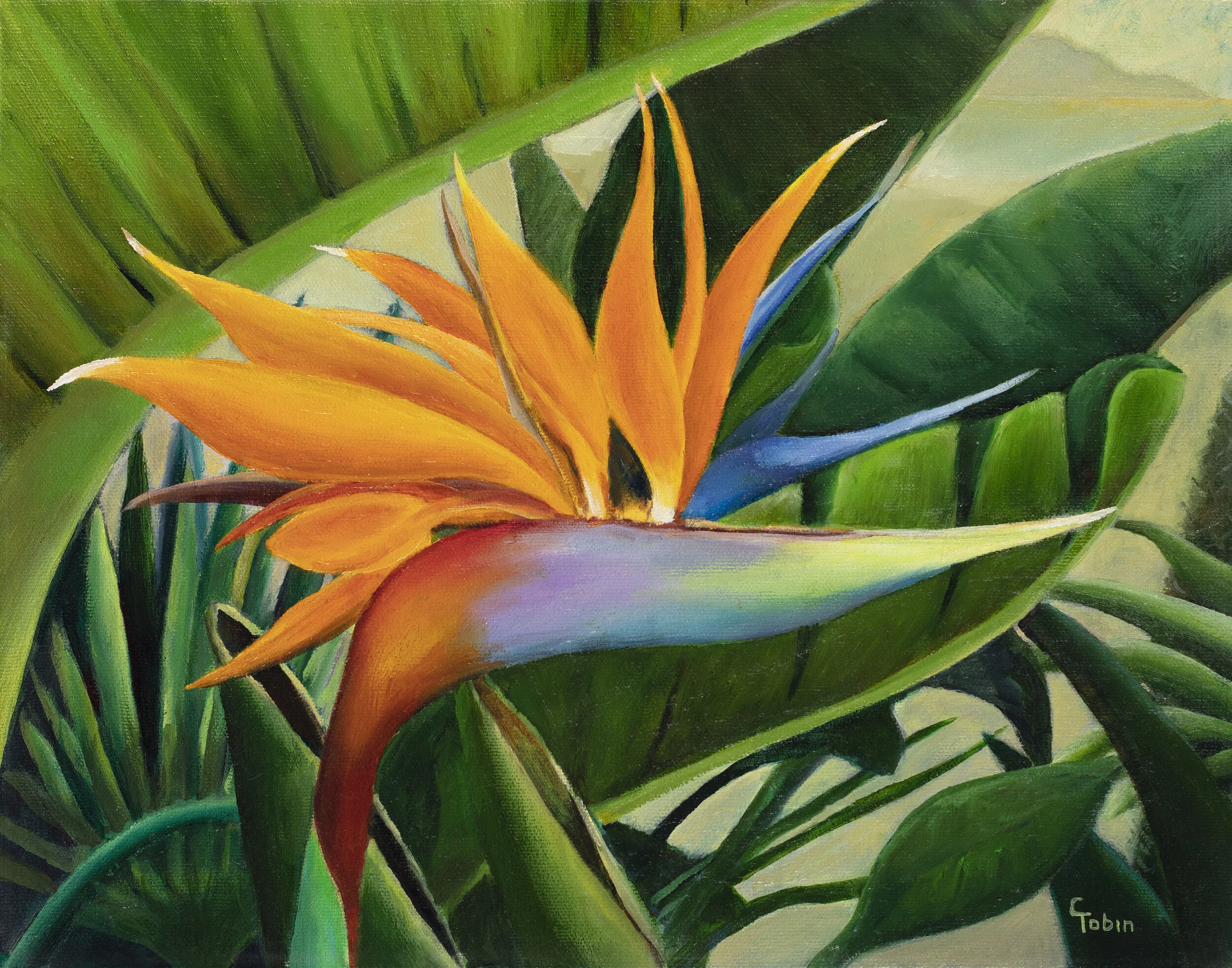 2019 11 06 Bird of Paradise A.jpg
