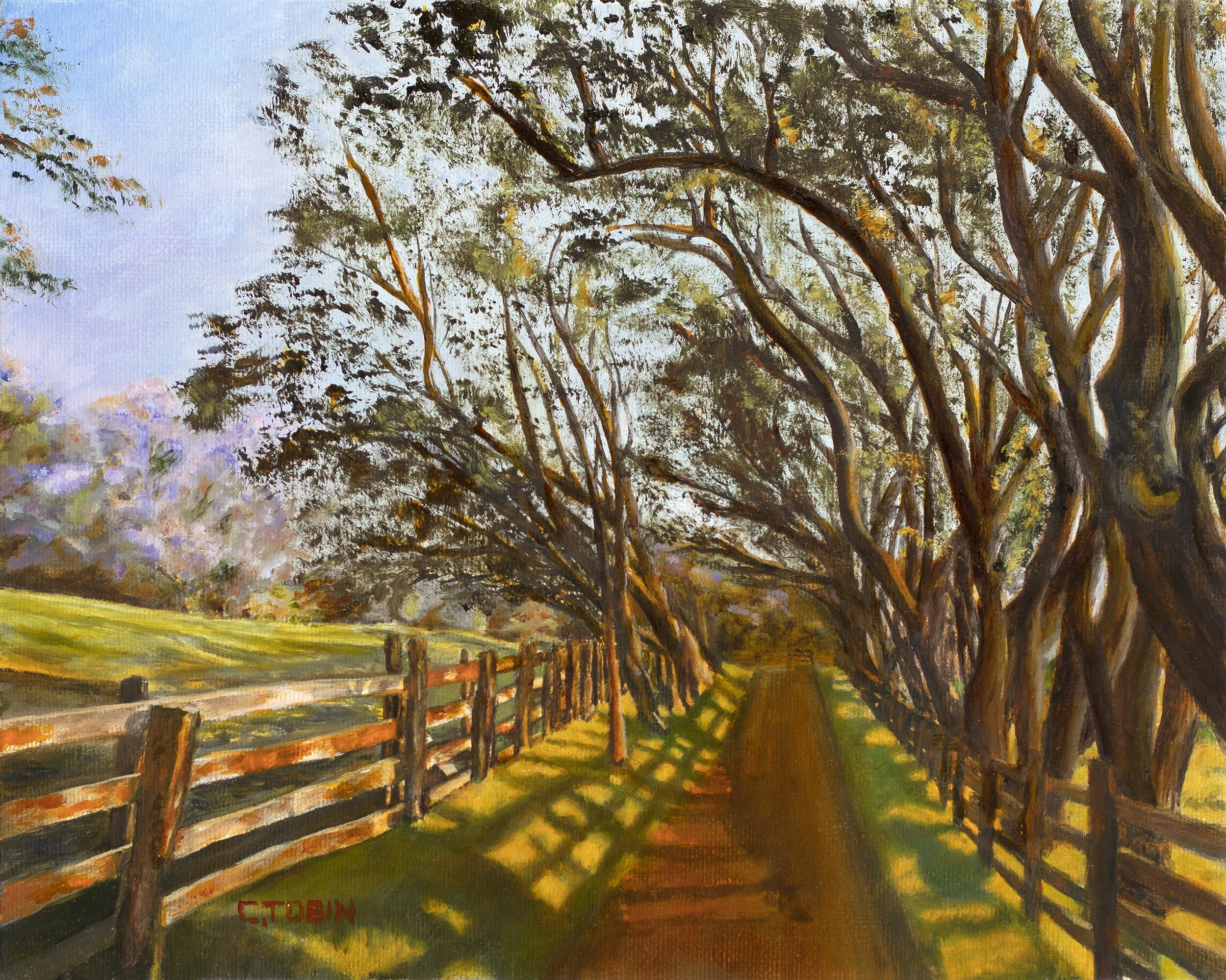 2021 07 30 Road Trees A.jpg