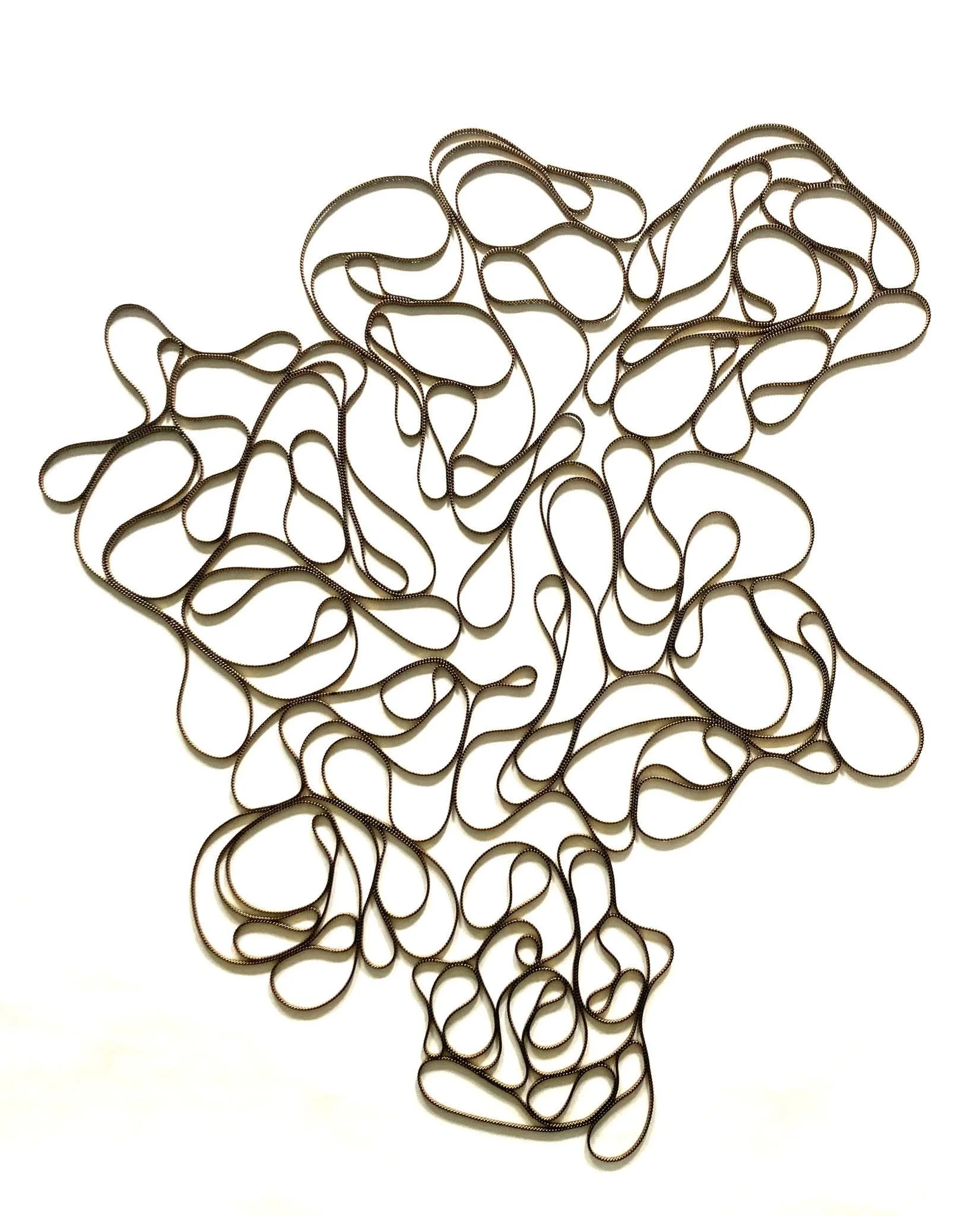 518563679_1427115245204859_8511121608942603375_n.jpg