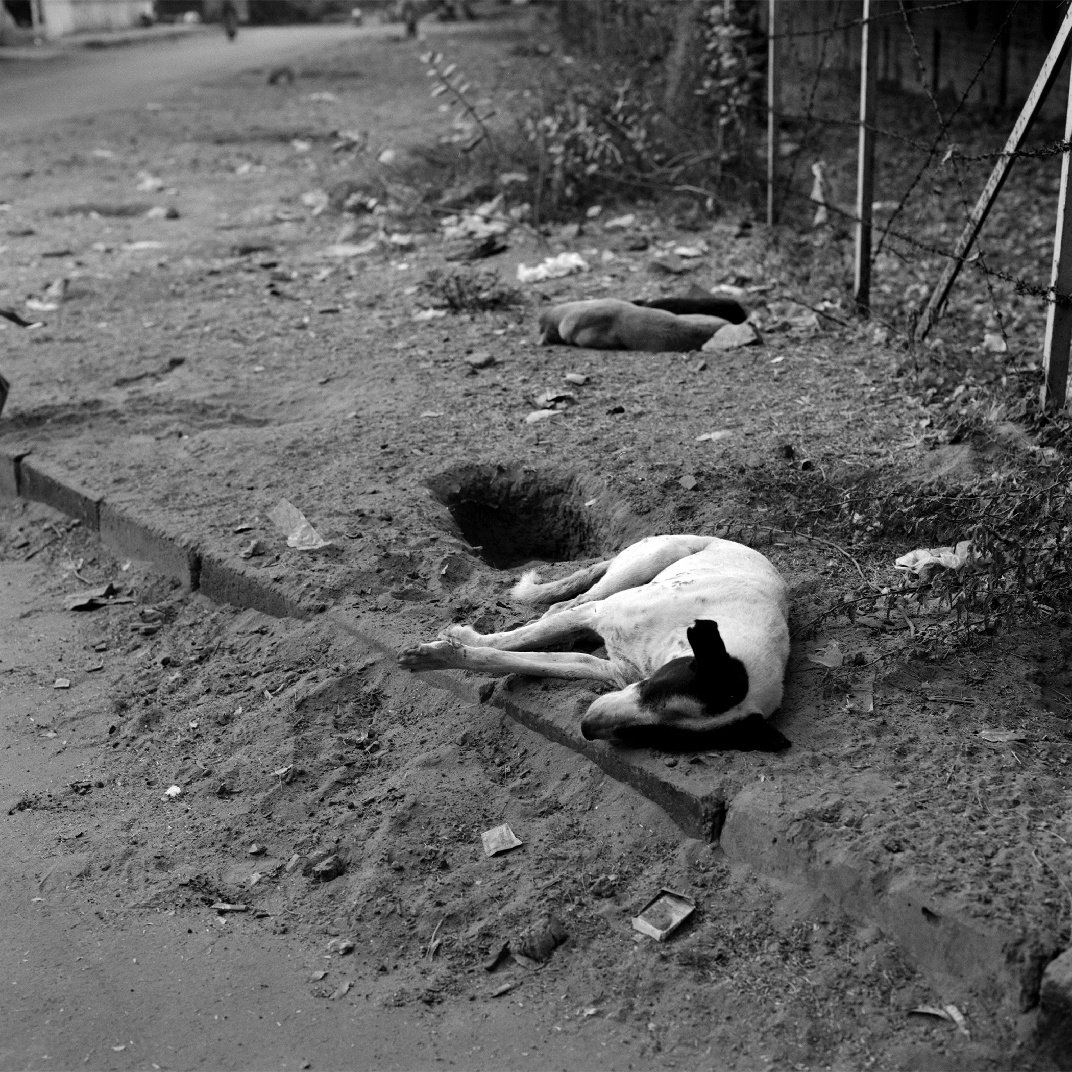 India 2010