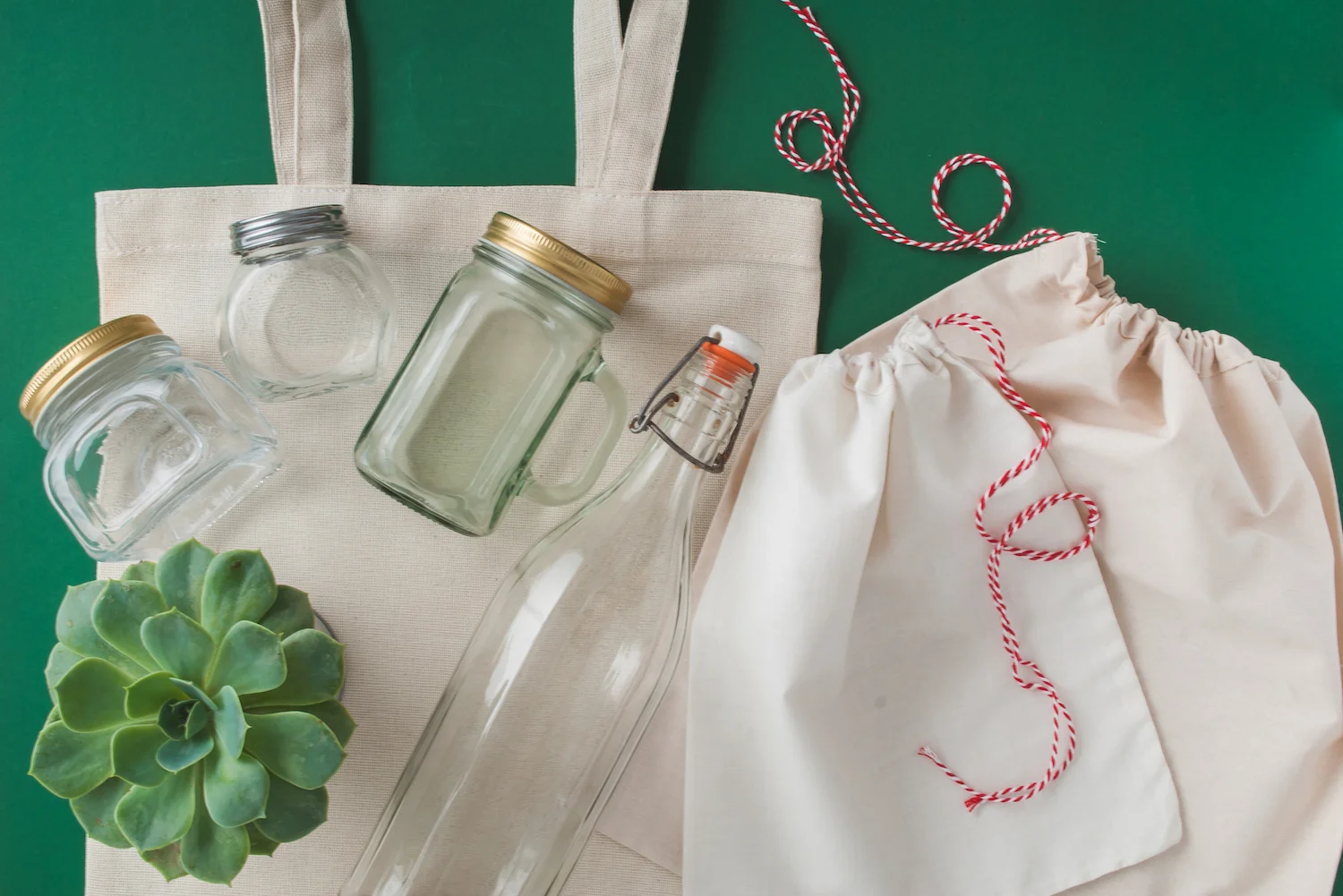 Zero Waste bags STOCK copy SMALL.jpg