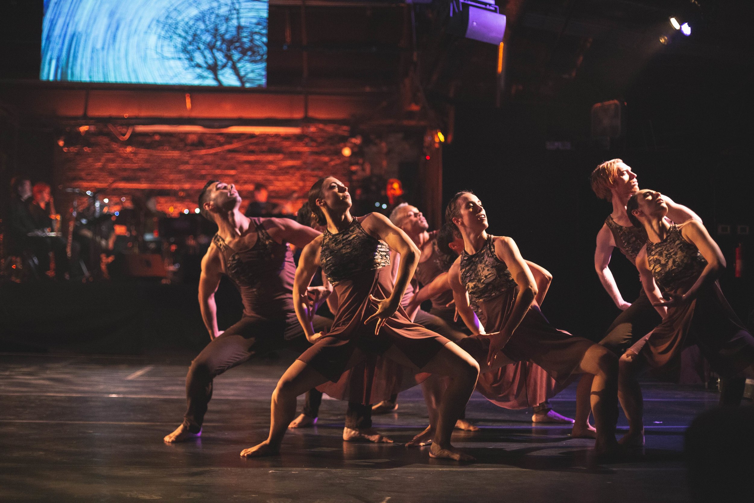 2019 CRDT fall concerts9-28-compressed.jpg