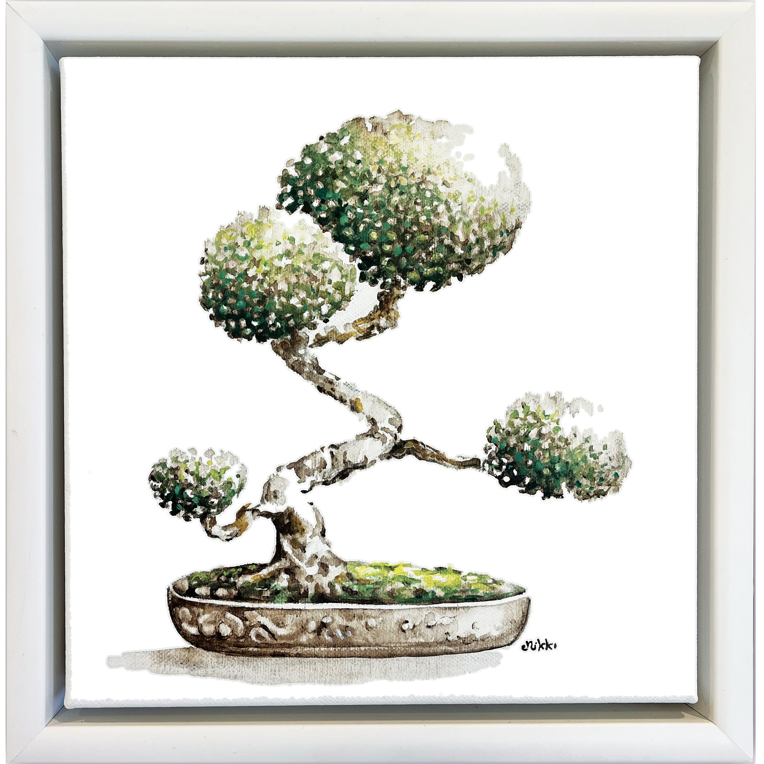 The Quiet Bonsai-20x20cm-original-oil colour-Nikki Quarry-lg.jpg (Copy)